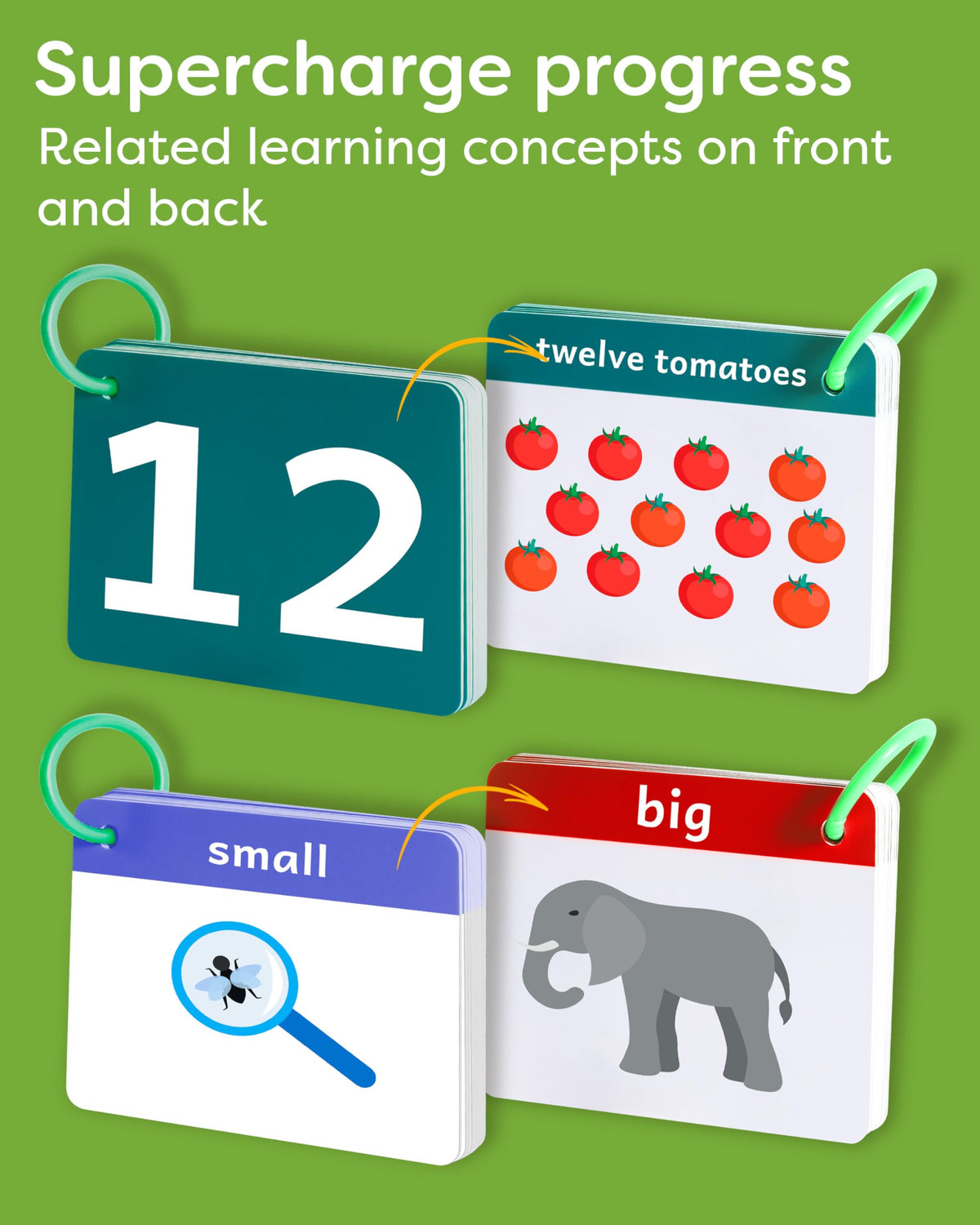 Colors, Numbers, Shapes, Opposites Flash Cards