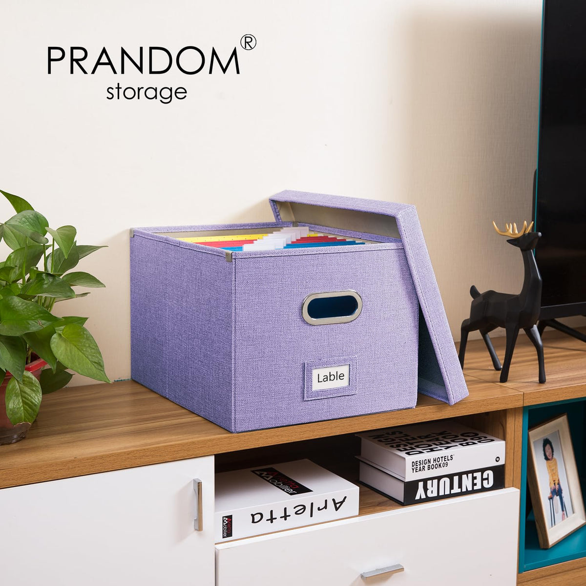 PRANDOM File Organizer Box - Set of 4 Collapsible Decorative Linen Filing Storage Hanging File