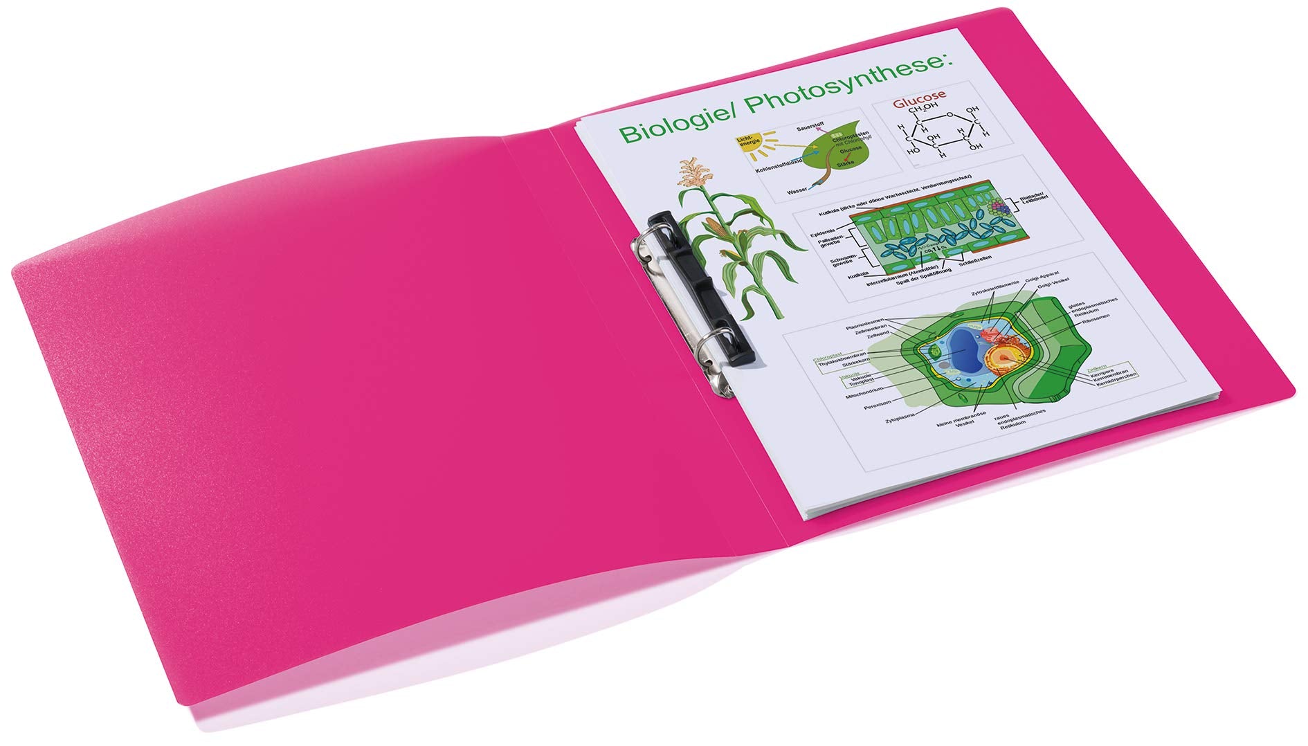 HERMA Ring Binder Translucent in Pink, A4, 25 mm Spine, Slim 2-Ring Binder Made of Plastic