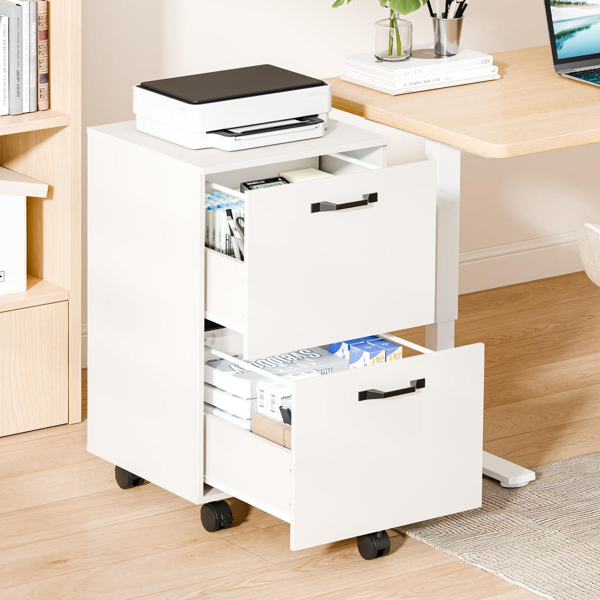 DUMOS 2 Drawer Filing Cabinet, Rolling Under Desk Storage, White