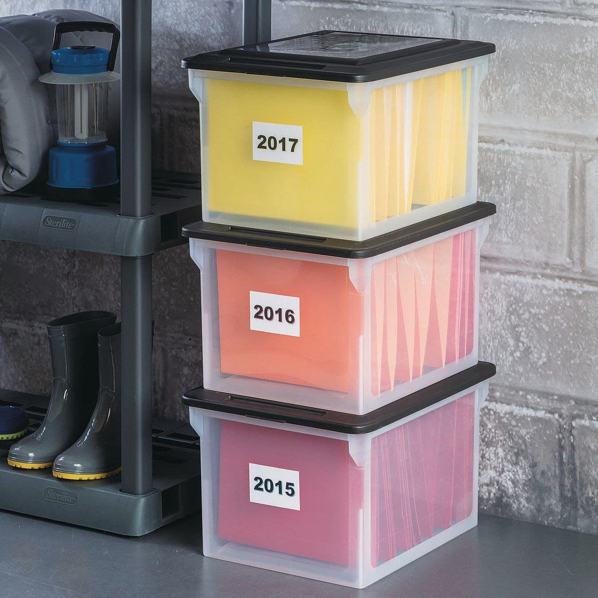 STERILITE 18689004 18.5" X 14" X 11" File Box Clear Base With Black Lid (Pack of 1)