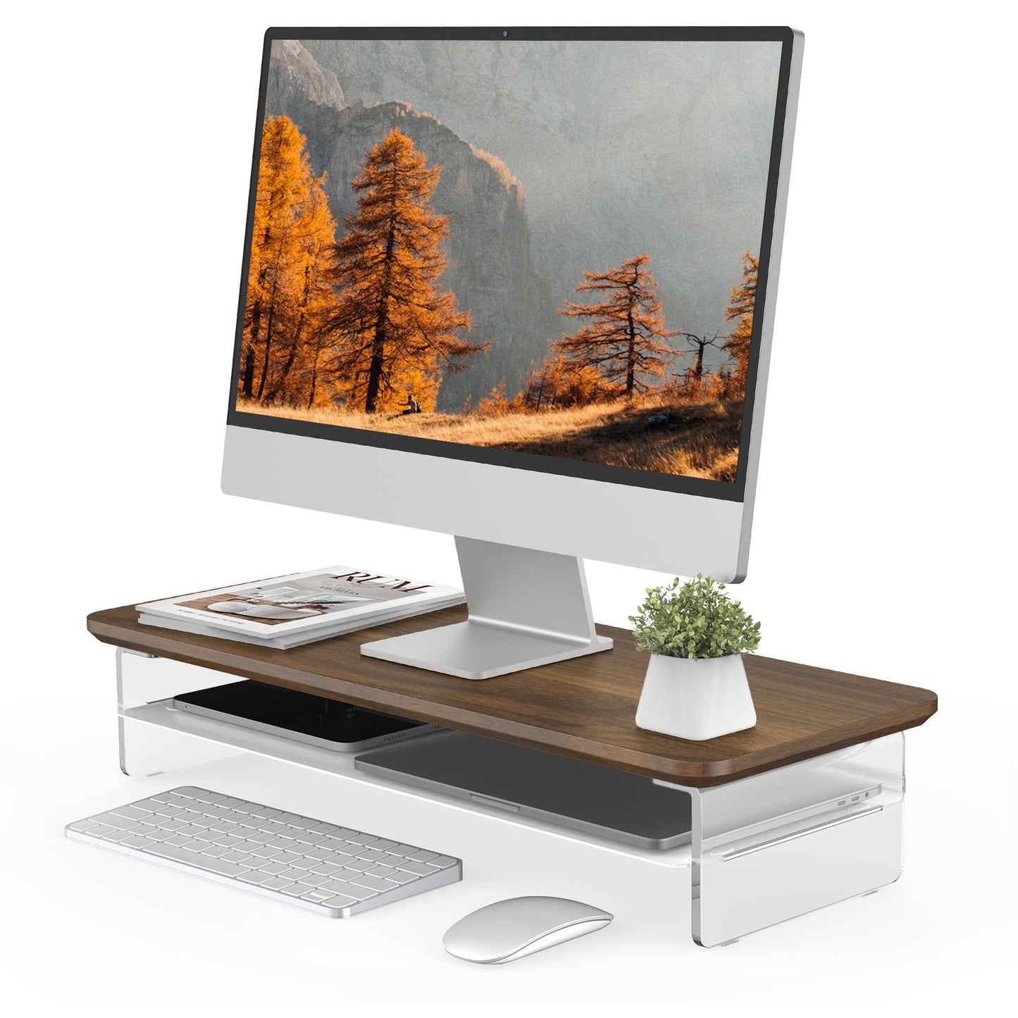 Fenge 23.6" Monitor Stand with Clear Acrylic Legs, Brown