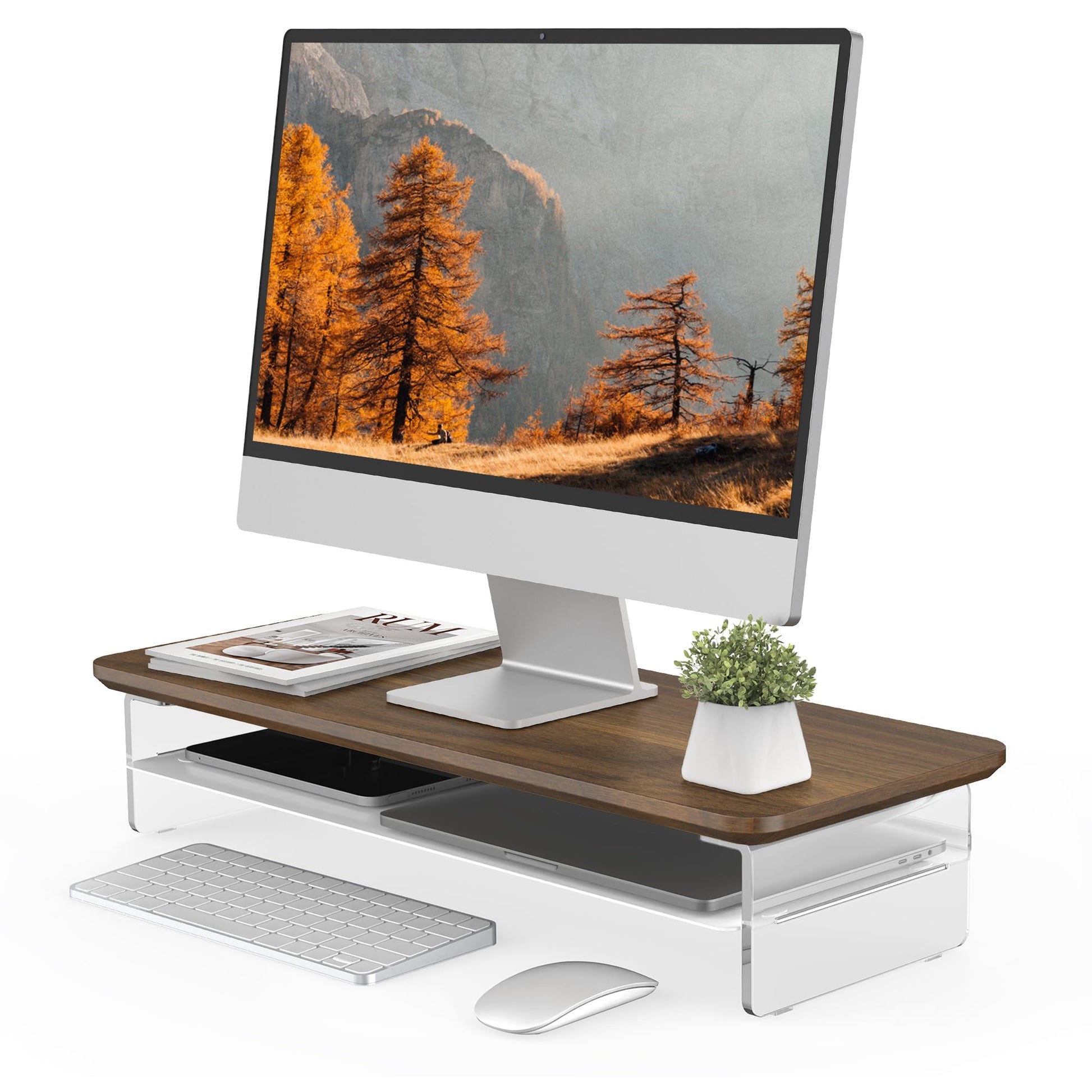 Fenge 23.6" Monitor Stand with Clear Acrylic Legs, Brown
