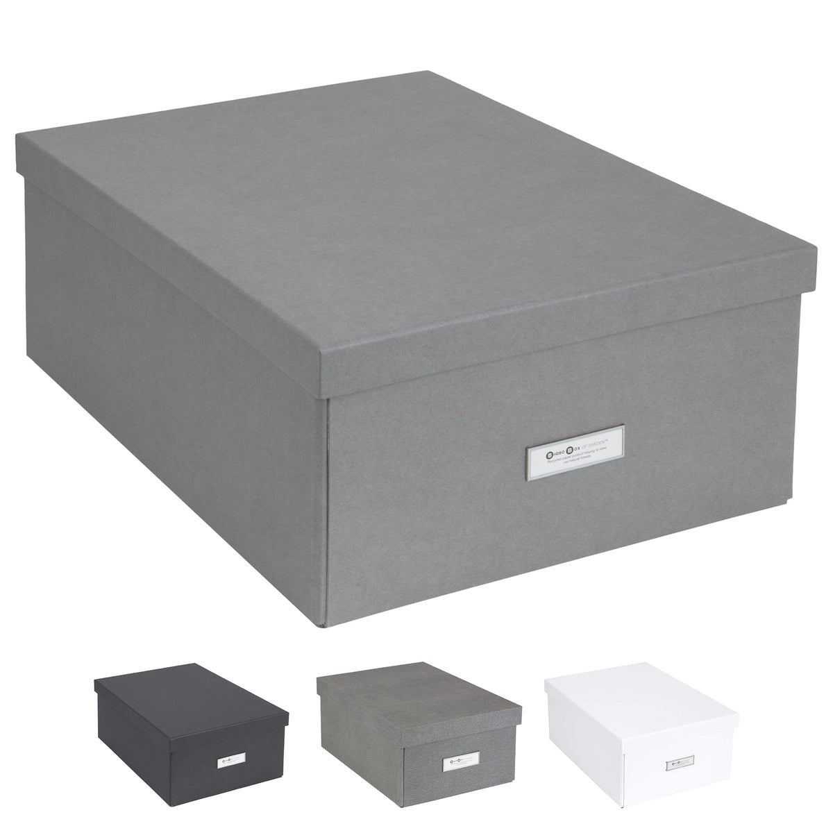 Bigso Box of Sweden Katrin Collapsible Storage Box with Labelframe for Easy Identification - Simple