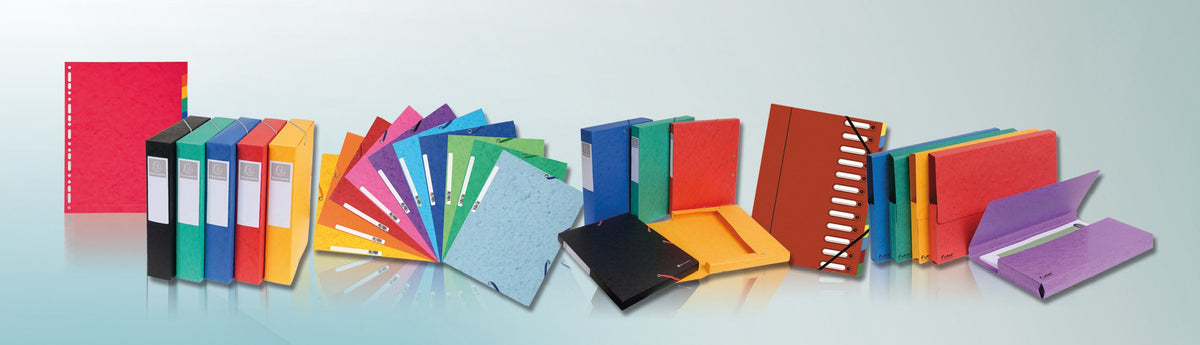 Exacompta - Ref 16017H - Cartobox Pressboard Filing Box - 25 x 33cm, Suitable for A4+ Documents