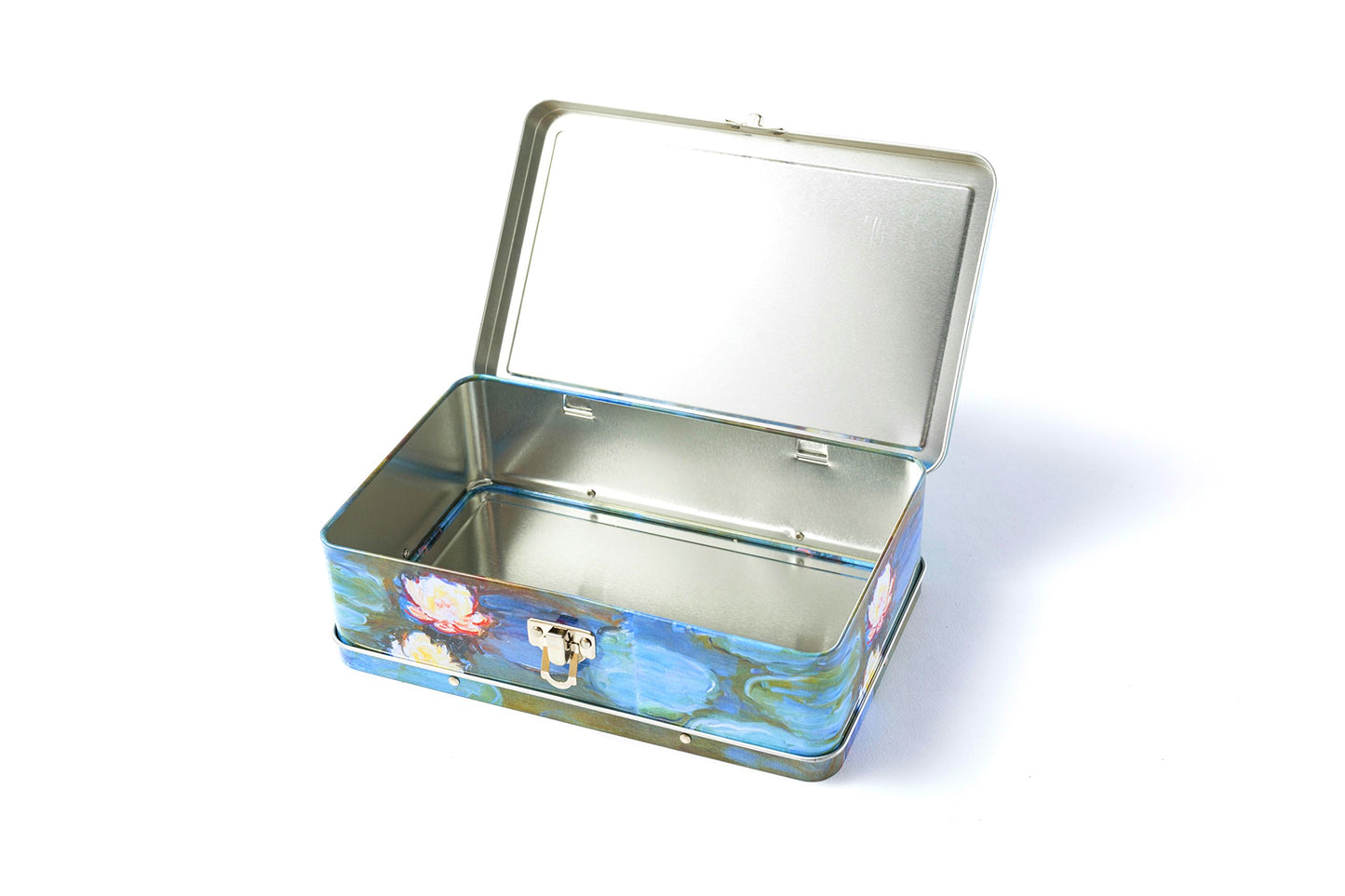 DAHO Metal Storage Box with Hinge for Office, School, Home, Makeup, Arts & Crafts and Accessories