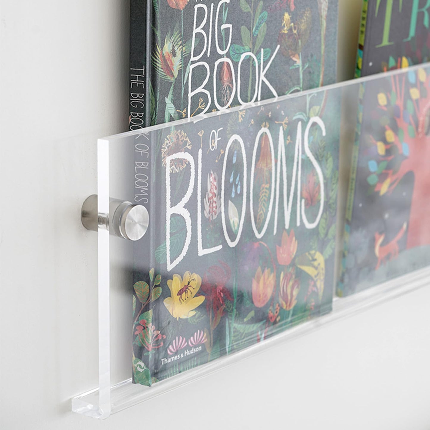 ROYALITA 2-Pack Acrylic Magazine Holder Display Records Holder, 24 Inch