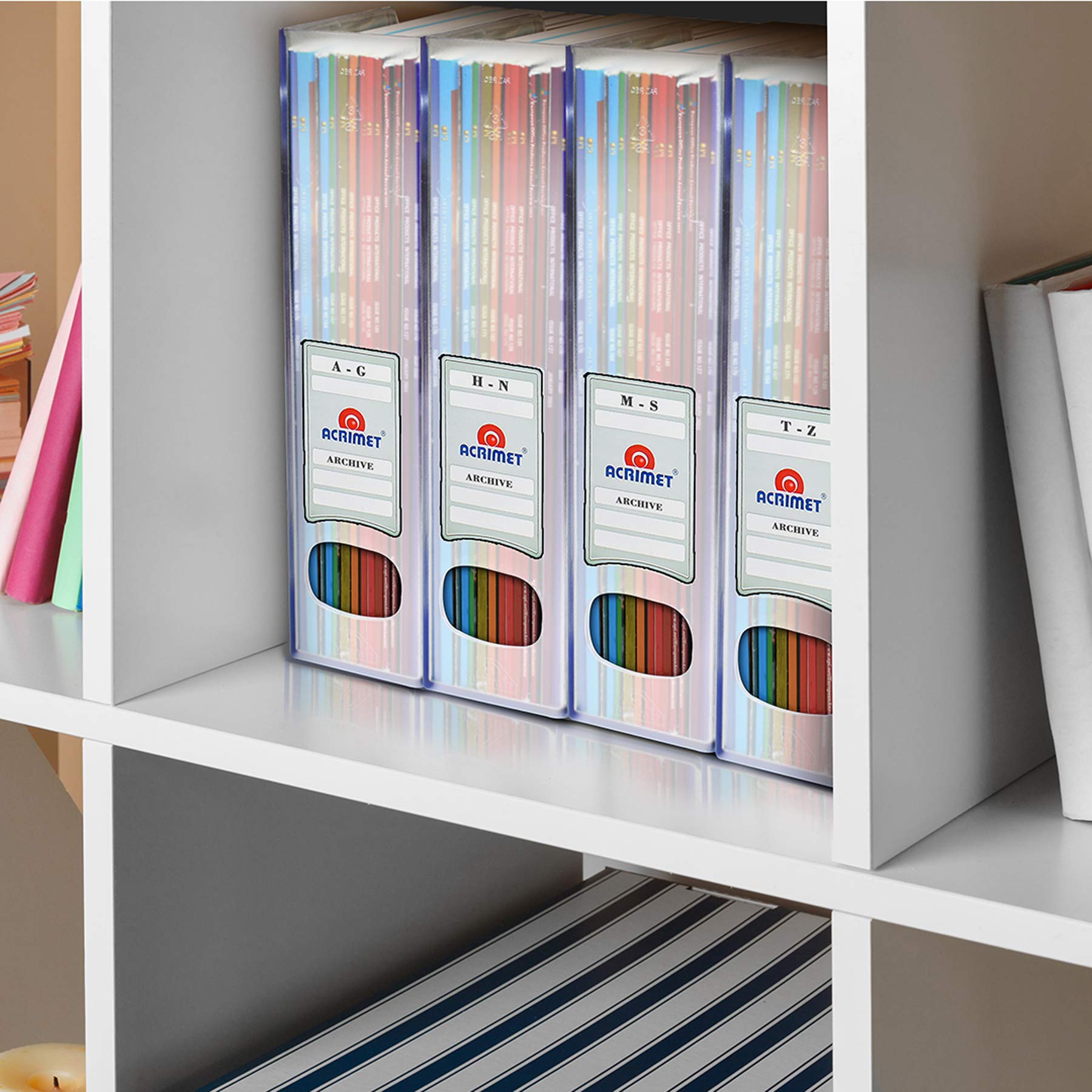 Acrimet Magazine File Holder, Vertical Desk Organizer, Clear, 2 Pack