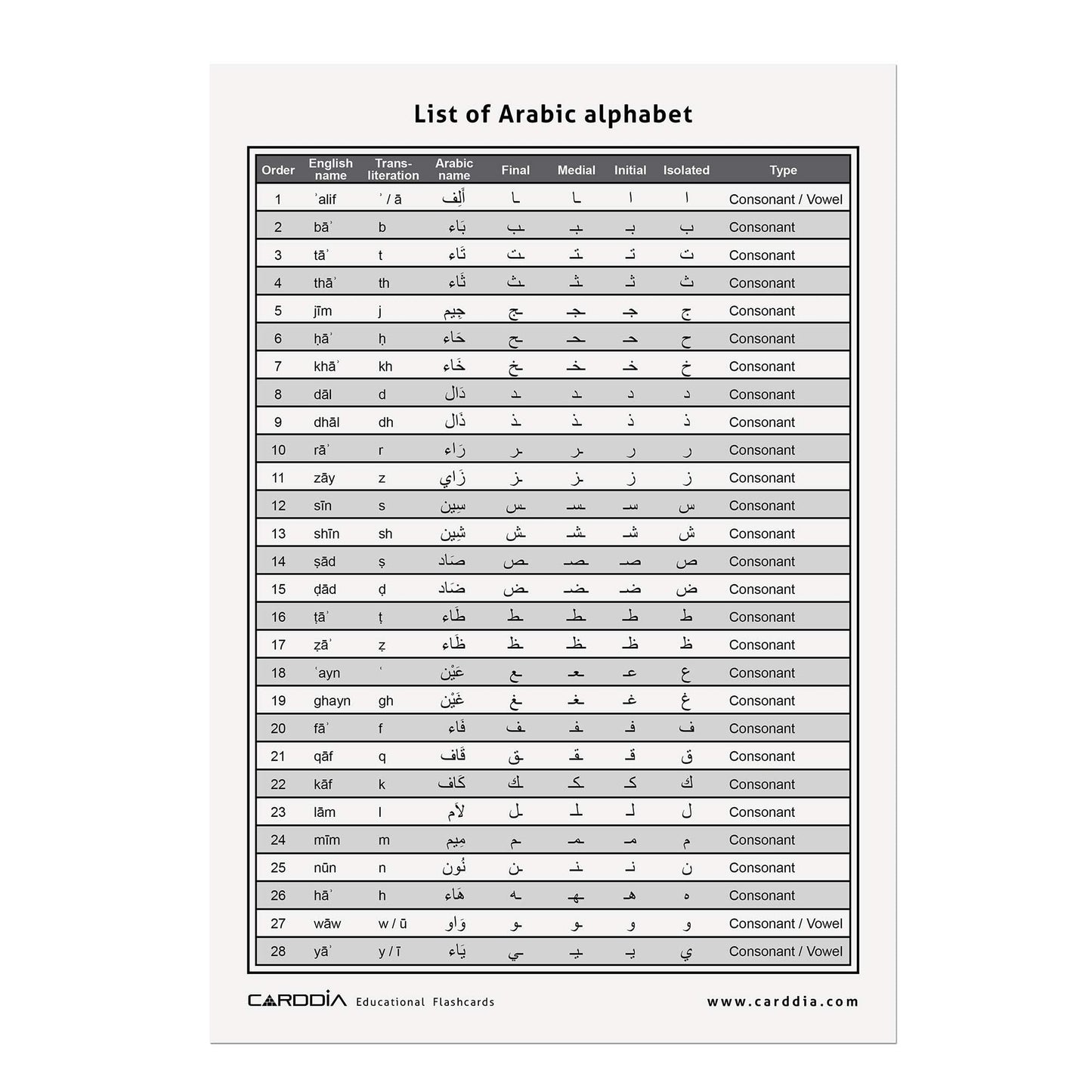 CARDDIA | Arabic Alphabet Educational Flashcards | Includes Consonants, Vowels, Diacritics and
