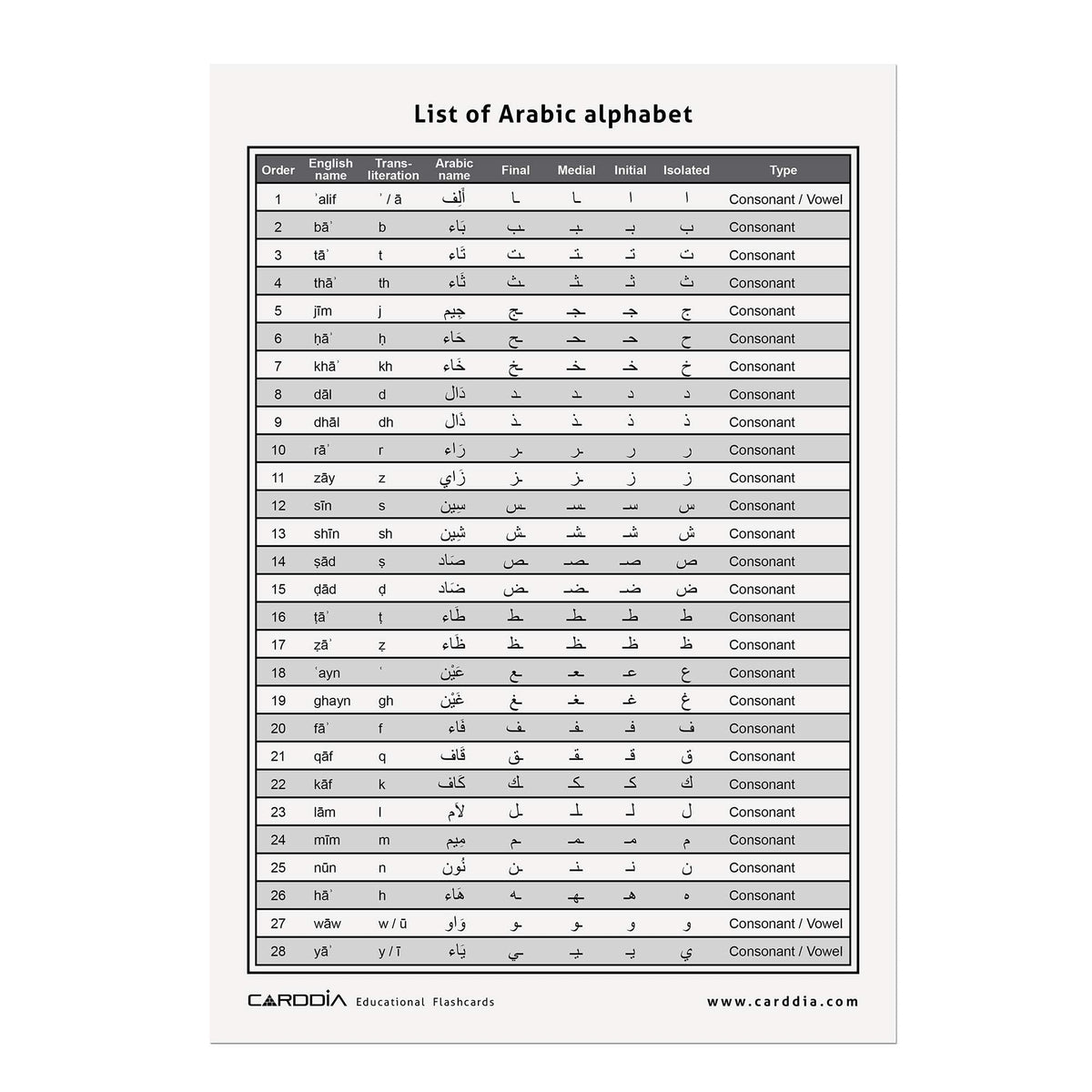 CARDDIA | Arabic Alphabet Educational Flashcards | Includes Consonants, Vowels, Diacritics and