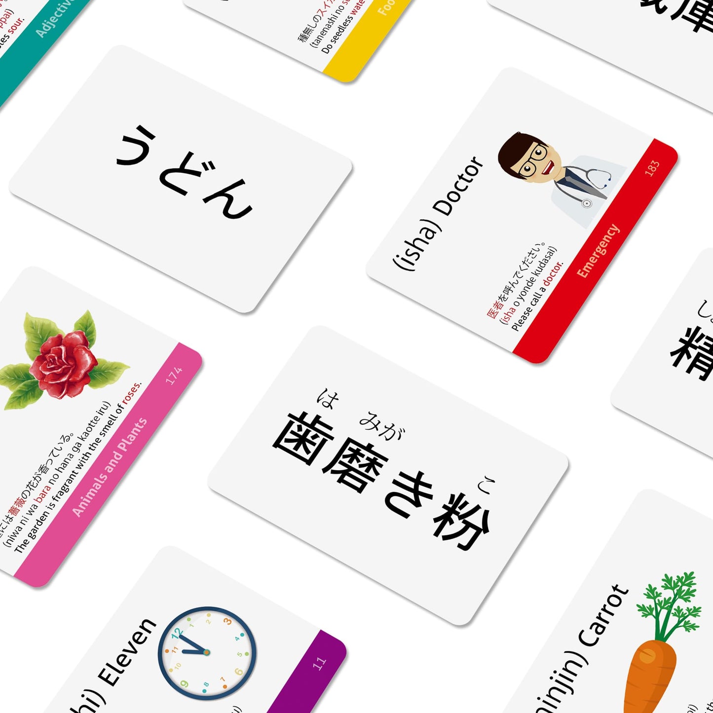 Japanese Vocabulary Flash Cards for Beginners (with Illustrations and Example Sentences), Standard