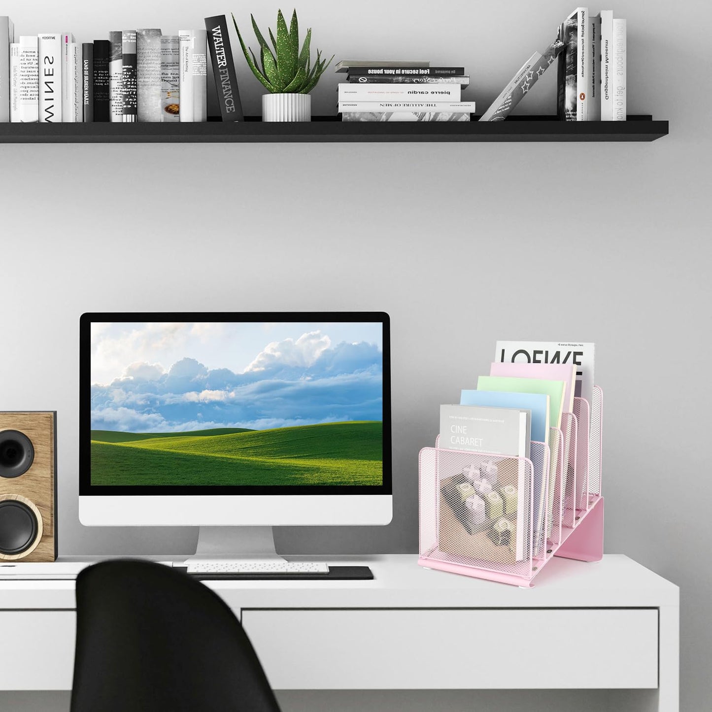 LEKETREE File Organizer for Desk, Desk Organizer with 5-Section Vertical File Rack, Folder