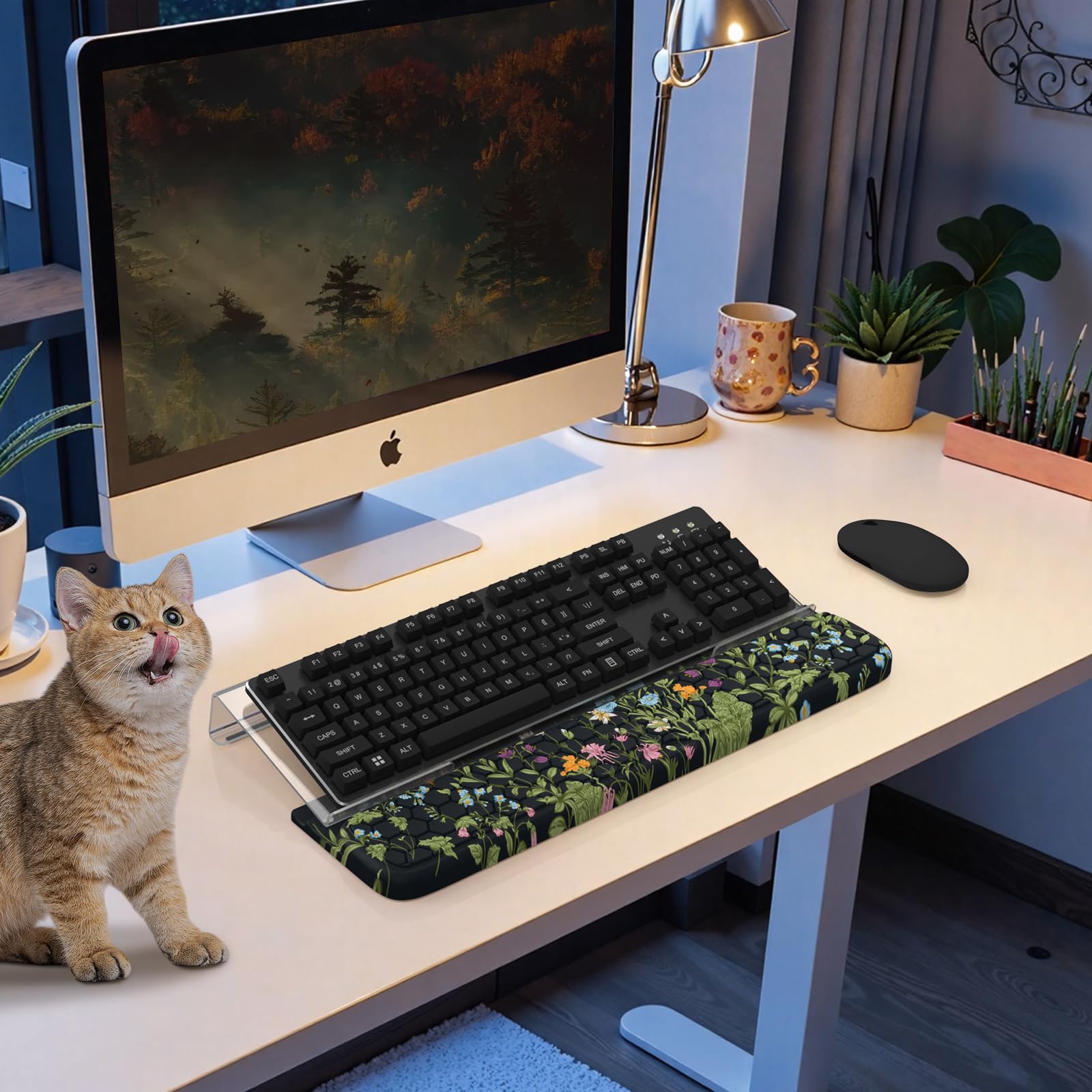 HAOCOO Acrylic Tilted Keyboard Riser, Wrist Rest for Computer 3-Level Height Adjustment, Hand Rest