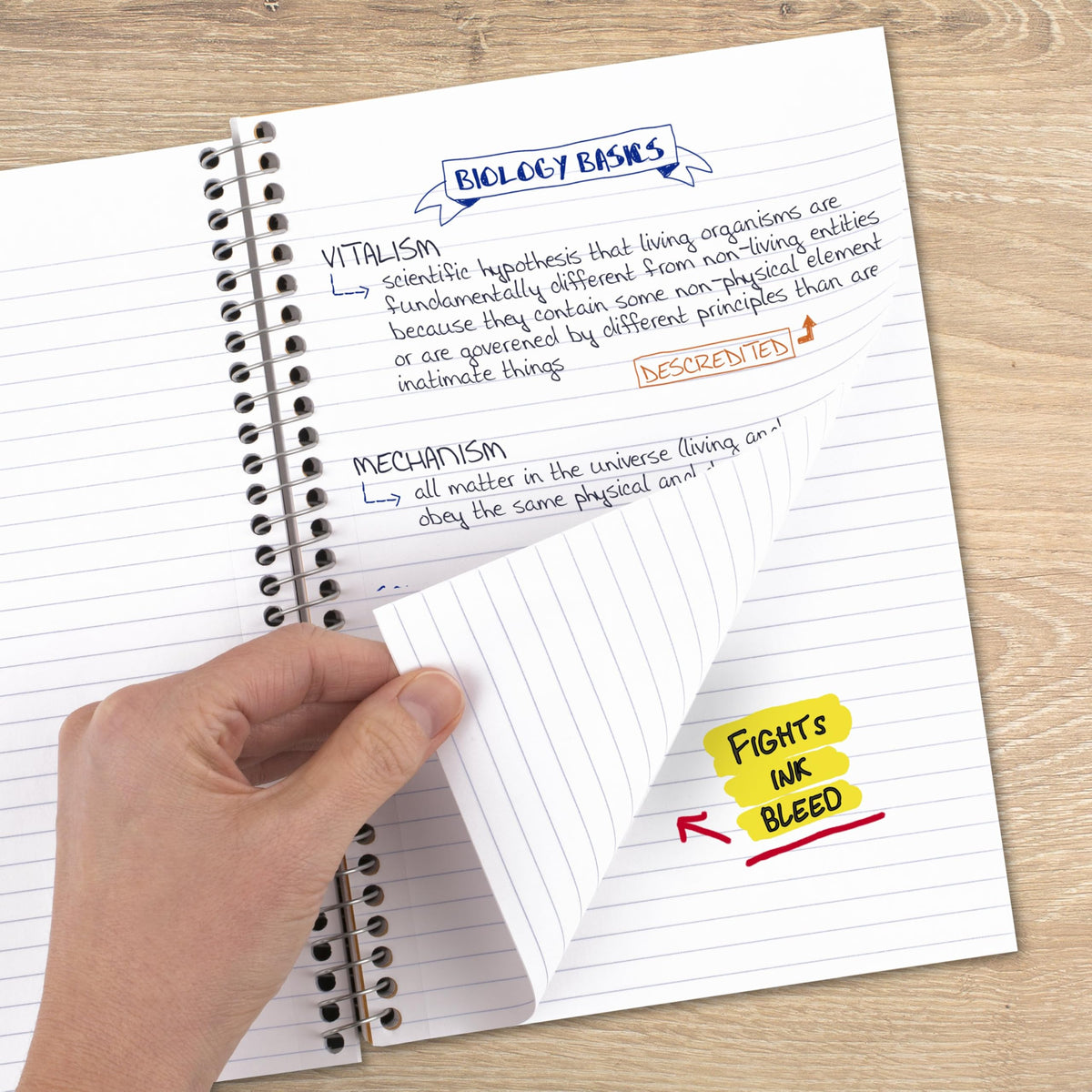 Five Star Spiral Notebook, 2 Subject, College Ruled Paper, 6" x 9-1/2", 80 Sheets, Fights Ink