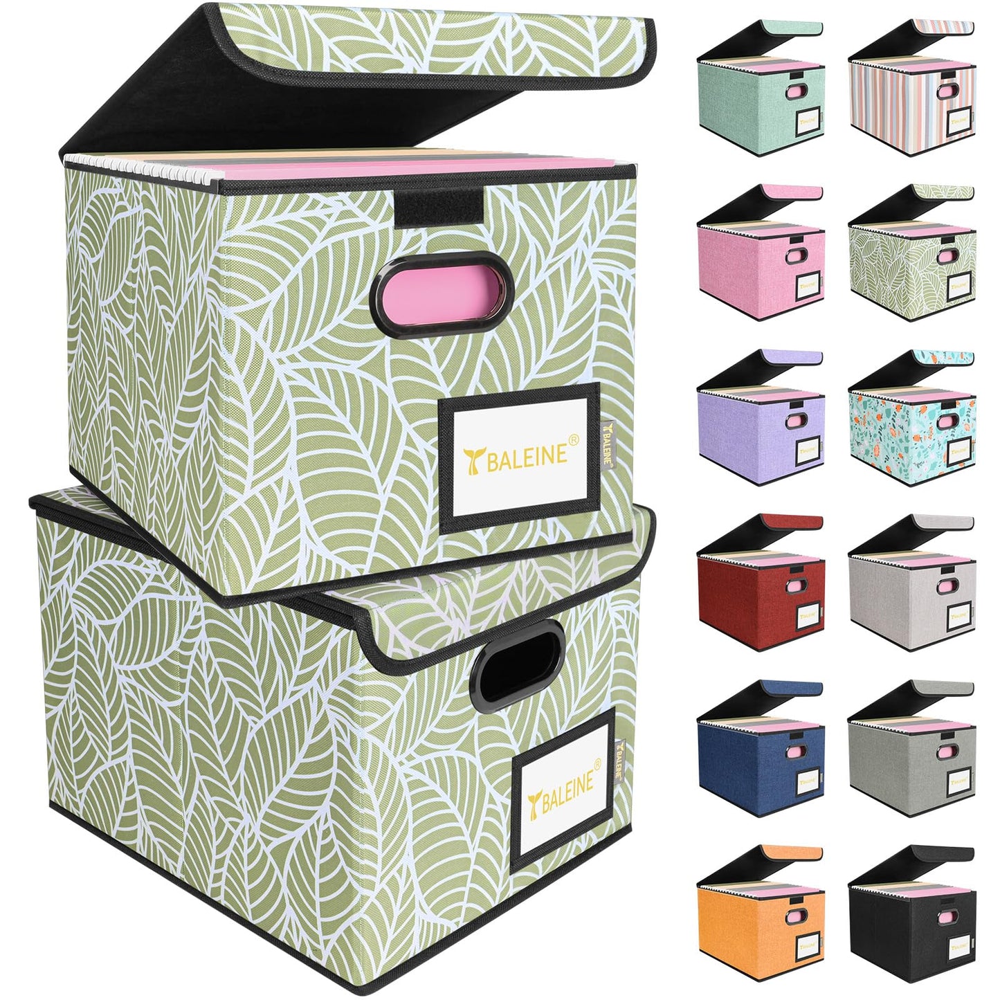 BALEINE File Organizer Box with Lid, Collapsible Hanging File Storage Box