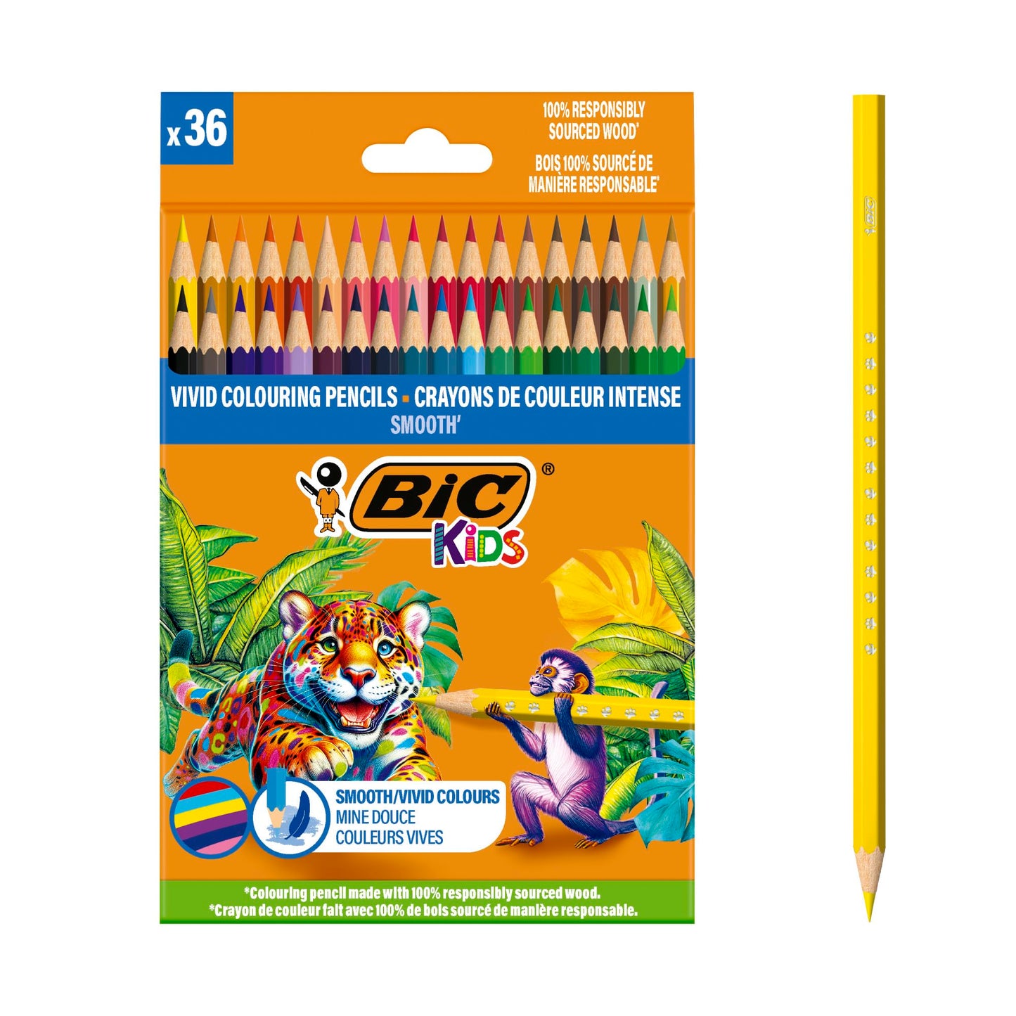 BIC Kids Wood Colouring Pencils Assorted Vivid Colours Pack of 36