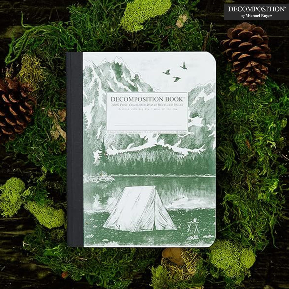Decomposition Mountain Lake College Ruled Composition Notebook - 9.75 x 7.5 Journal with 160 Lined