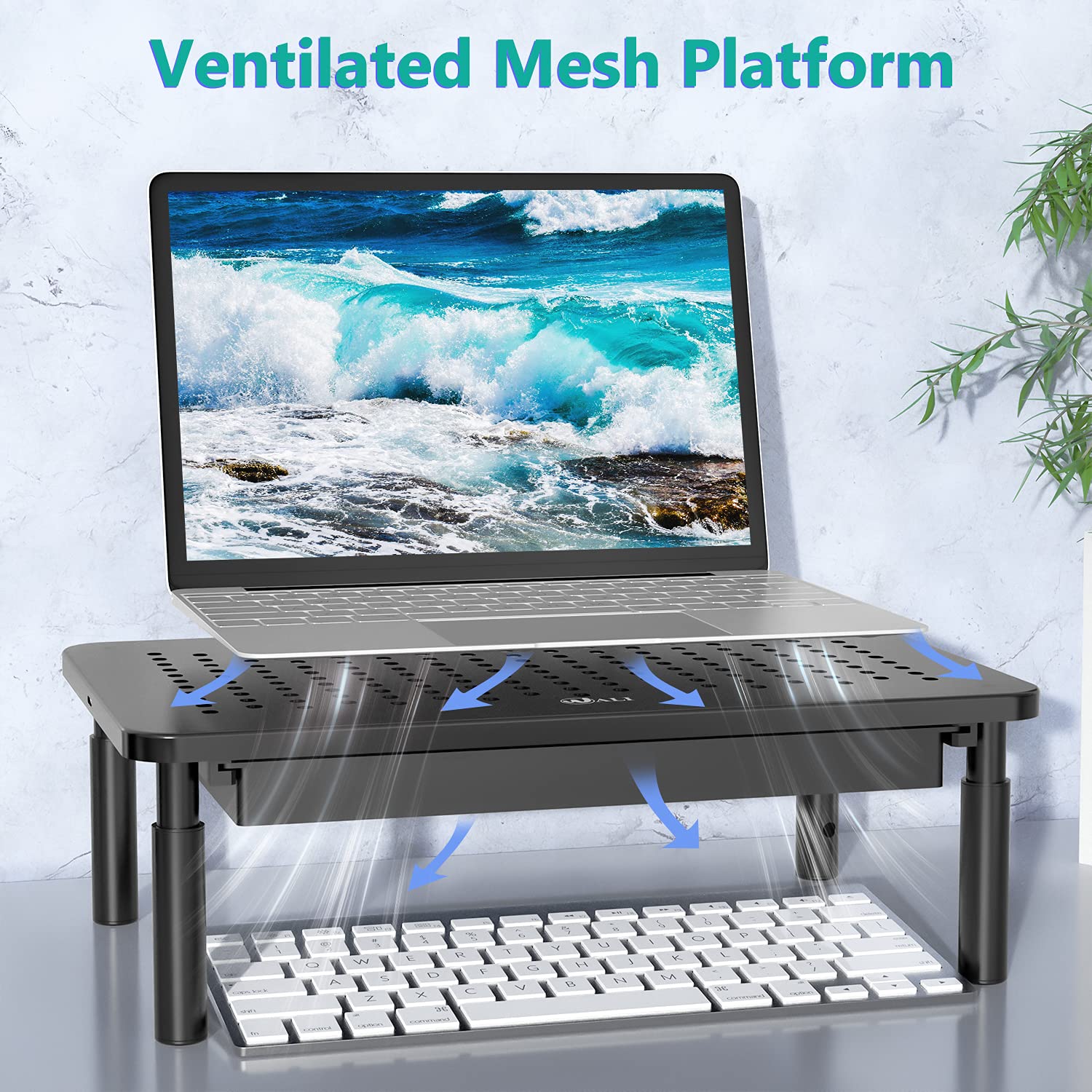 WALI Computer Monitor Stand with Storage