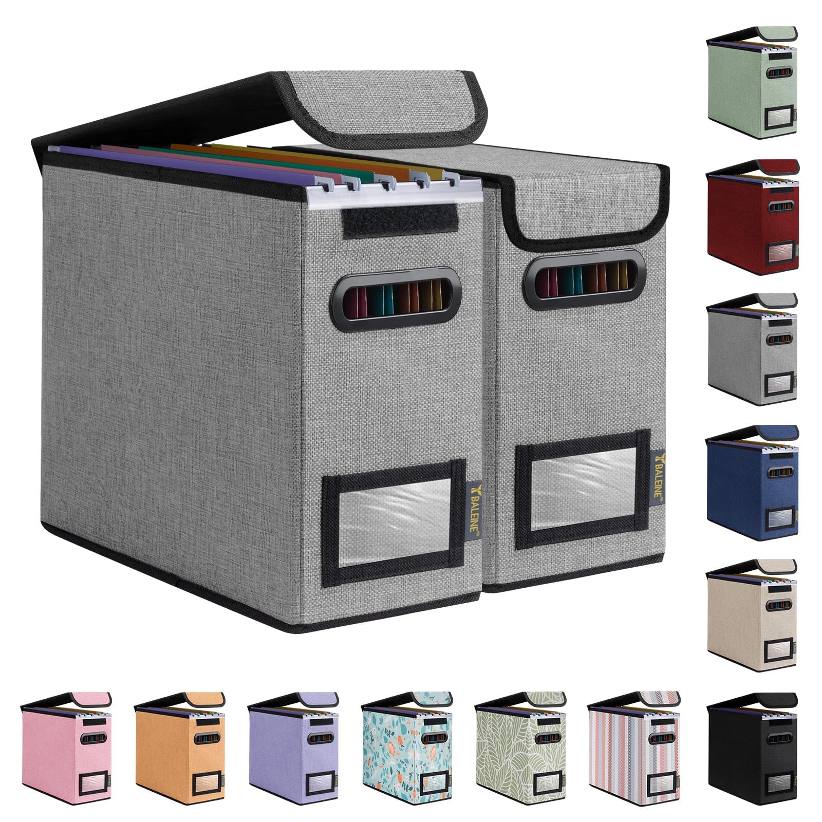 BALEINE File Organizer Box with Lid, Collapsible Hanging File Storage Box