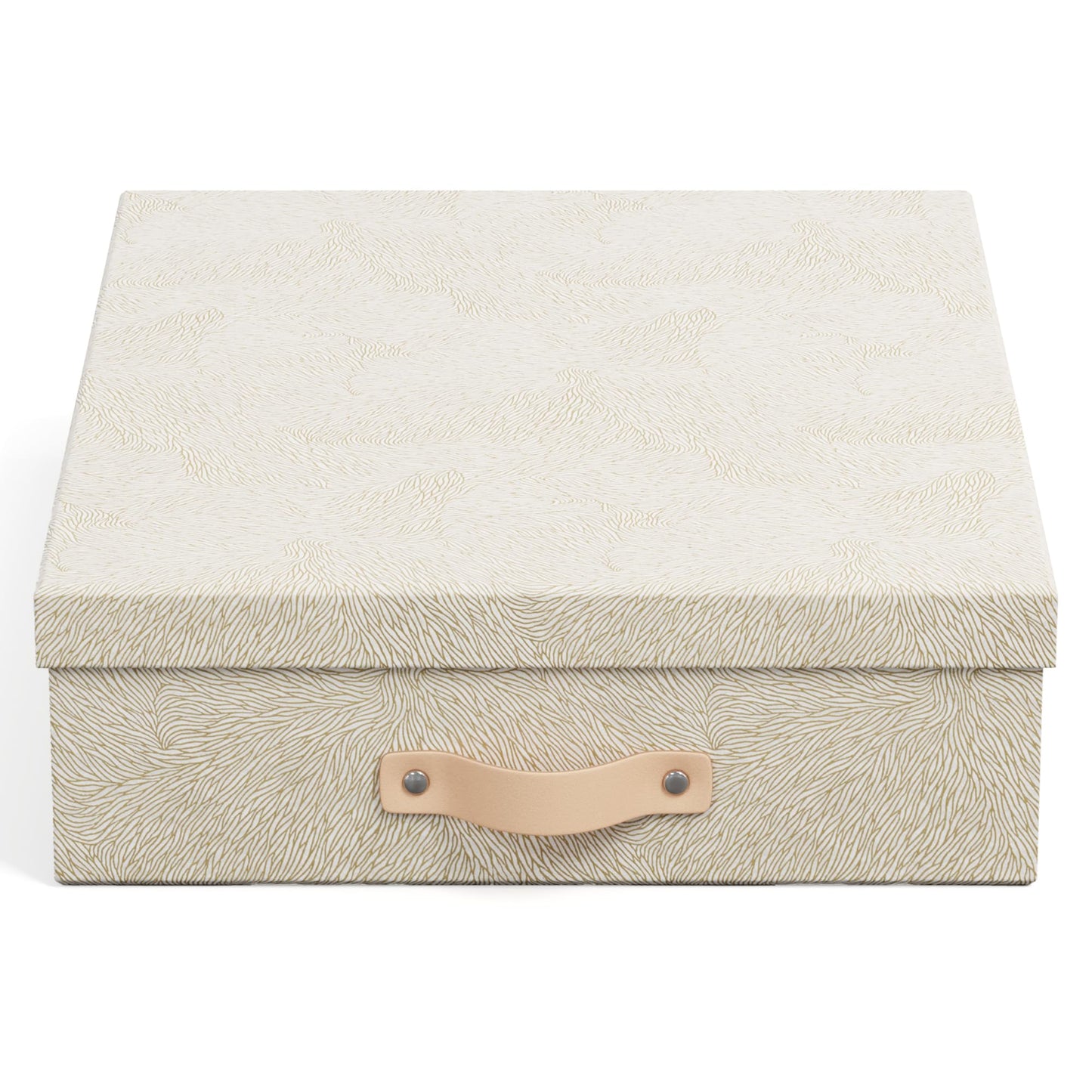 Bigso Oskar Fiberboard Document Storage Box with Lid for A4 and Letter Size Papers - Stylish