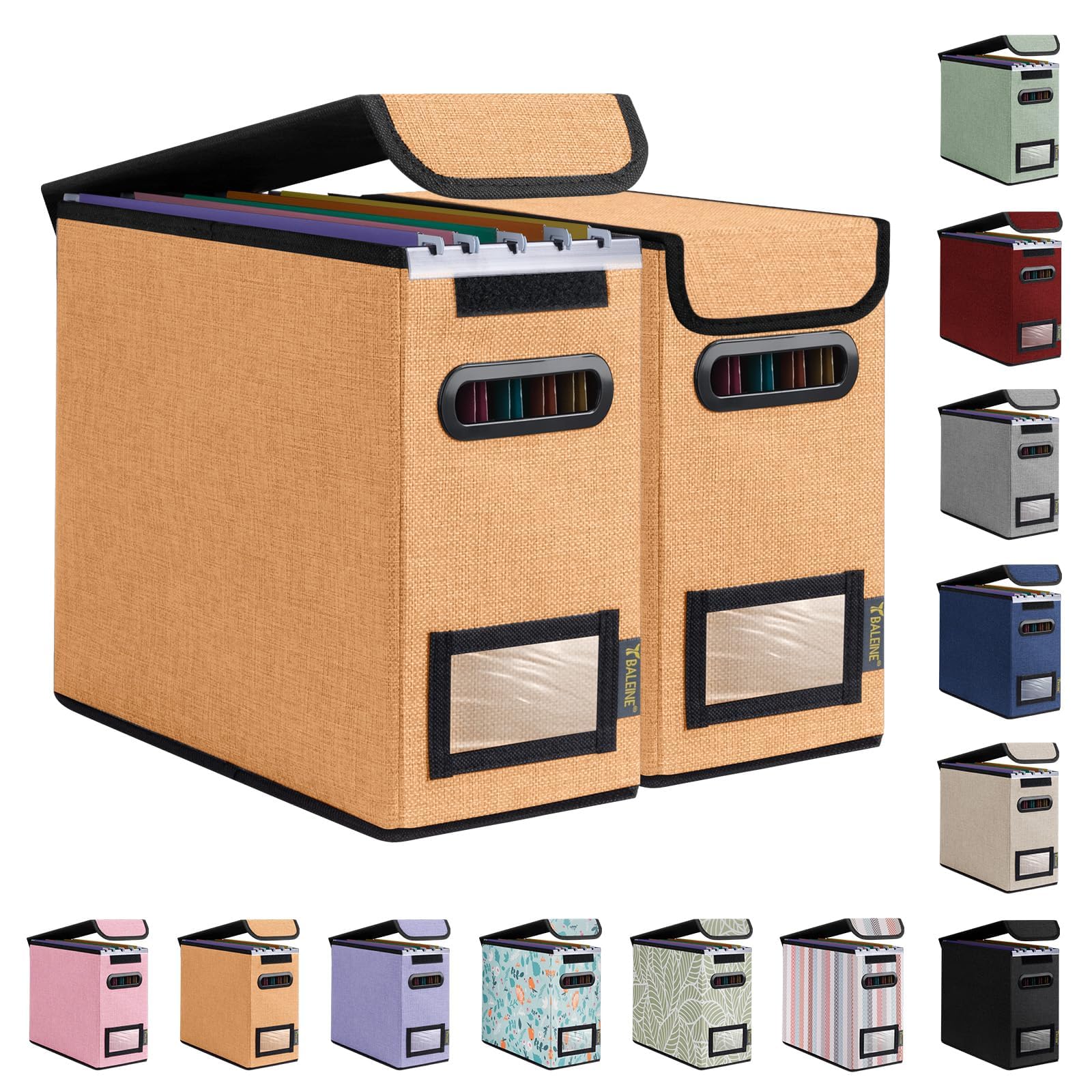 BALEINE File Organizer Box with Lid, Collapsible Hanging File Storage Box