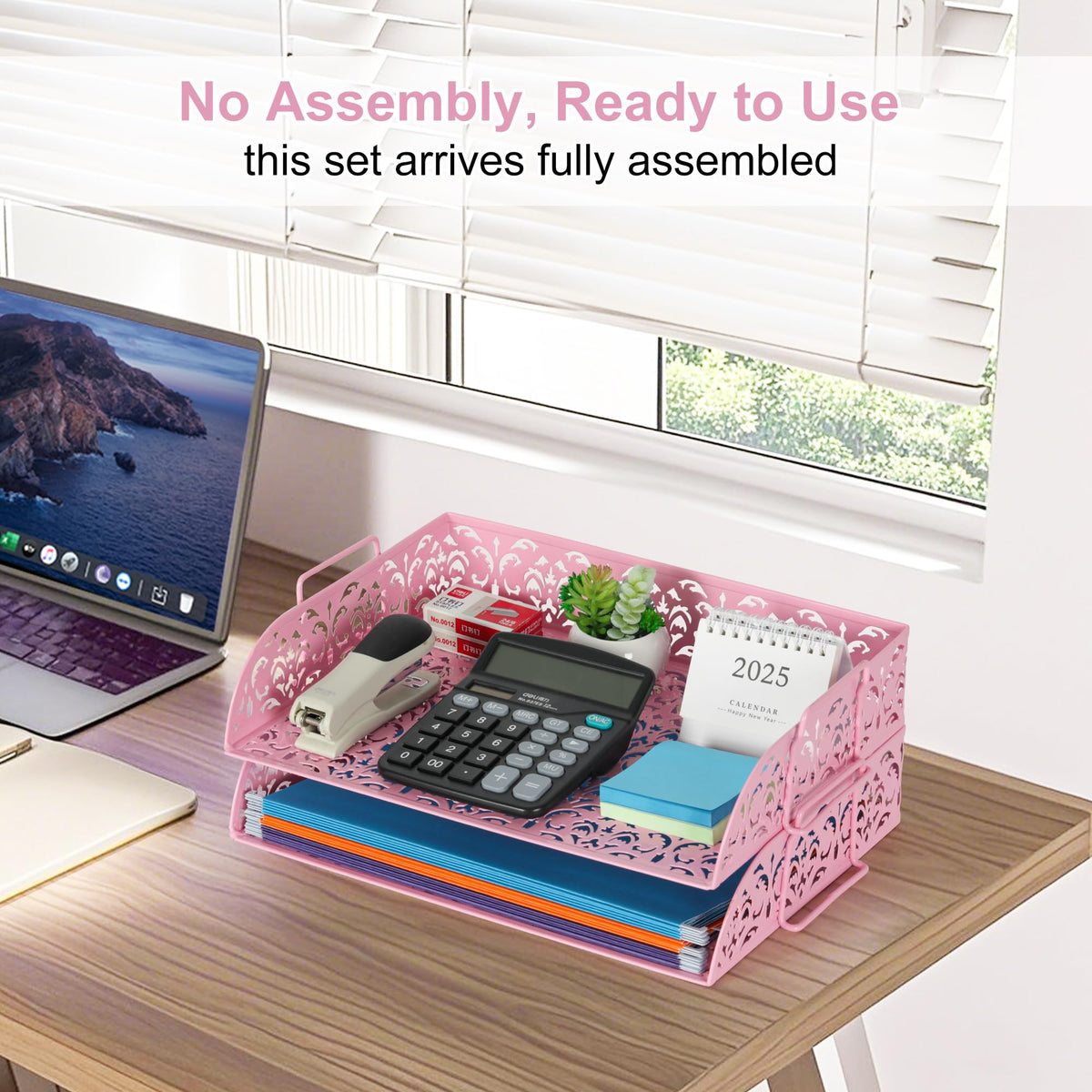 EasyPAG Paper Organizer for Desk 2 Tier Stackable Paper Tray for A4 Legal Size Folders Metal File