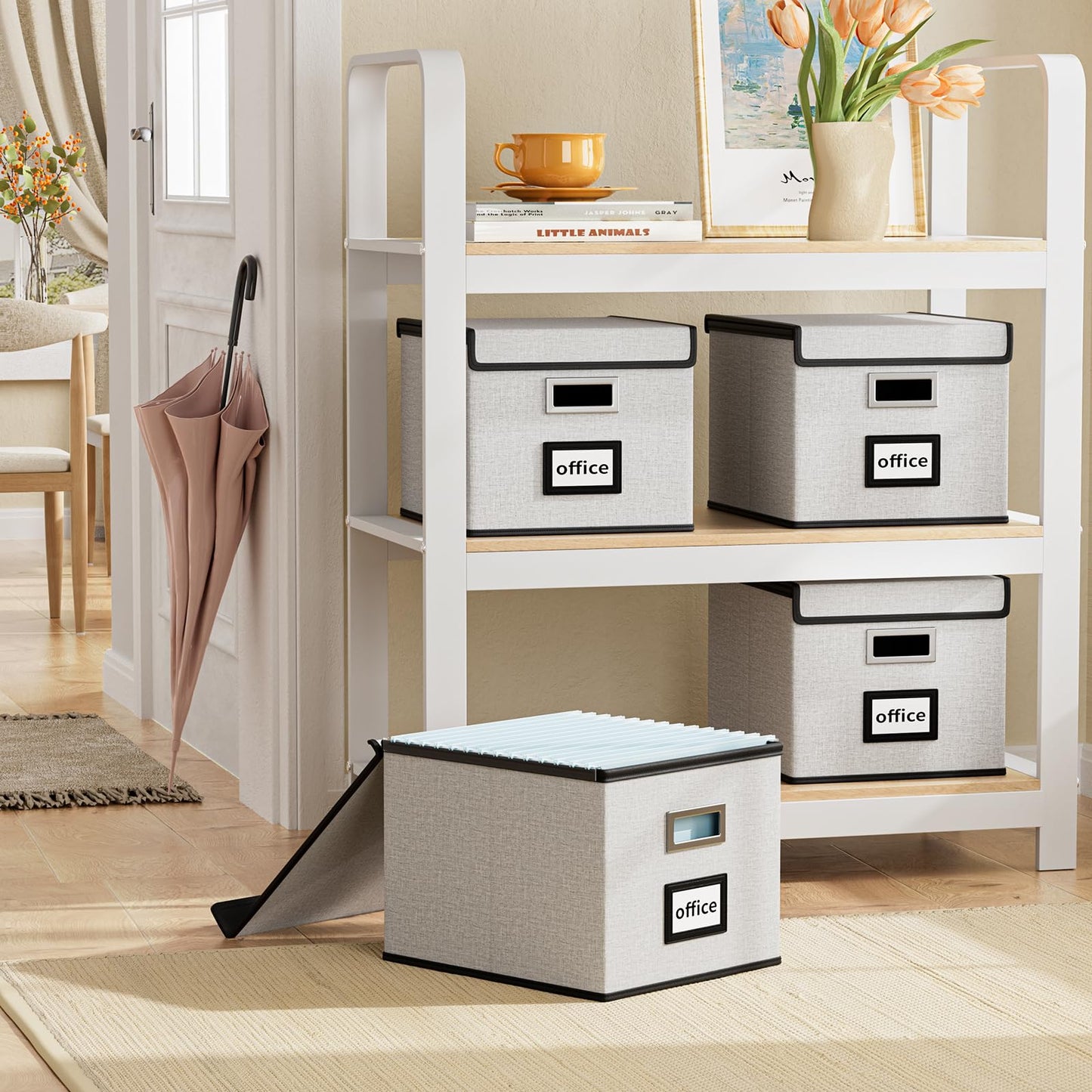 Huolewa File Organizer Box with Lids, Collapsible File Folder Organizer