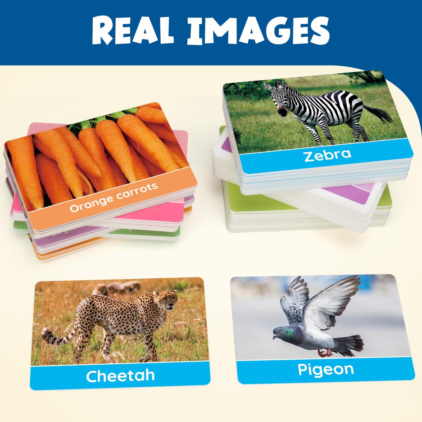 BenBen Flash Cards for Toddlers, Extra Thick, 250 Images, Double-Sided Educational Flashcards