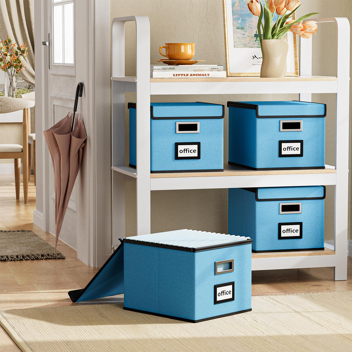Huolewa File Organizer Box with Lids, Collapsible File Folder Organizer