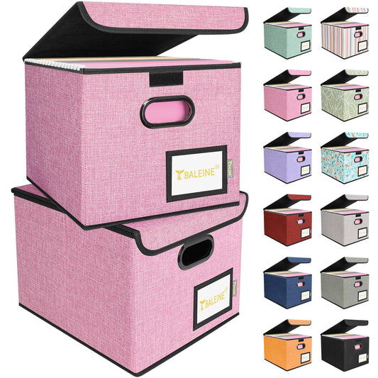 BALEINE File Organizer Box with Lid, Collapsible Hanging File Storage Box