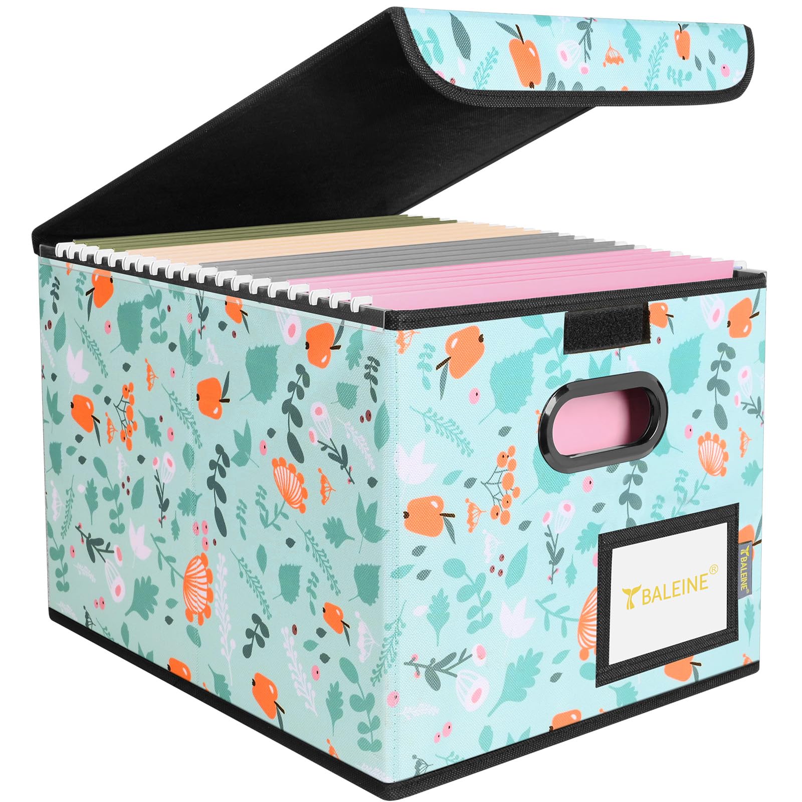 BALEINE File Organizer Box with Lid, Collapsible Hanging File Storage Box