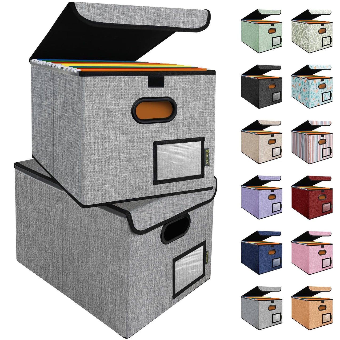 BALEINE File Organizer Box with Lid, Collapsible Hanging File Storage Box