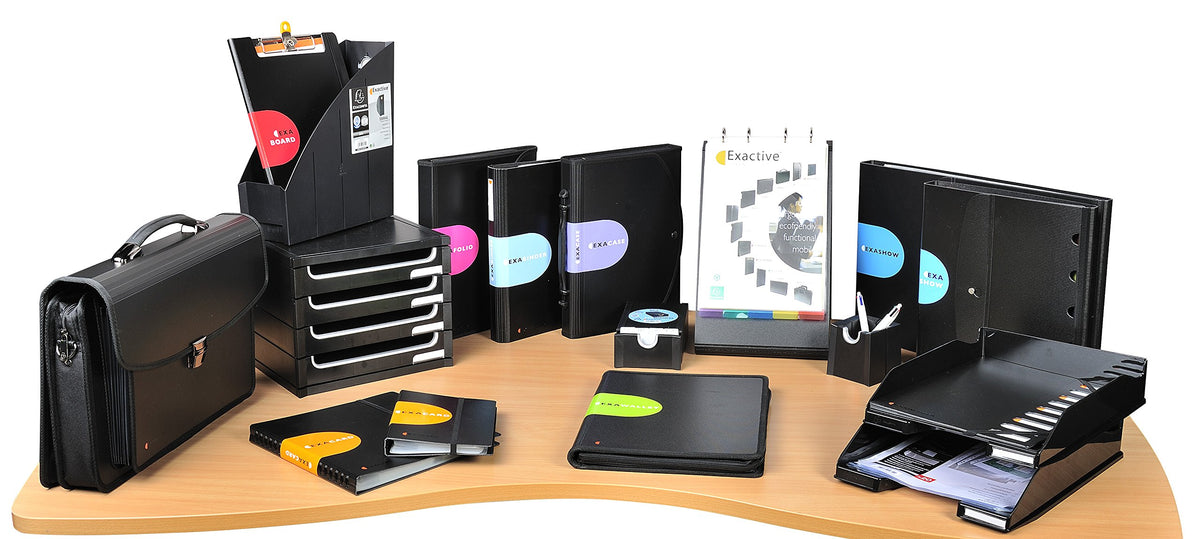 Exacompta - Ref 75134E - Exactive - Exacard Business Card Holder - 20 x 25 cm in Size, Holds Up to