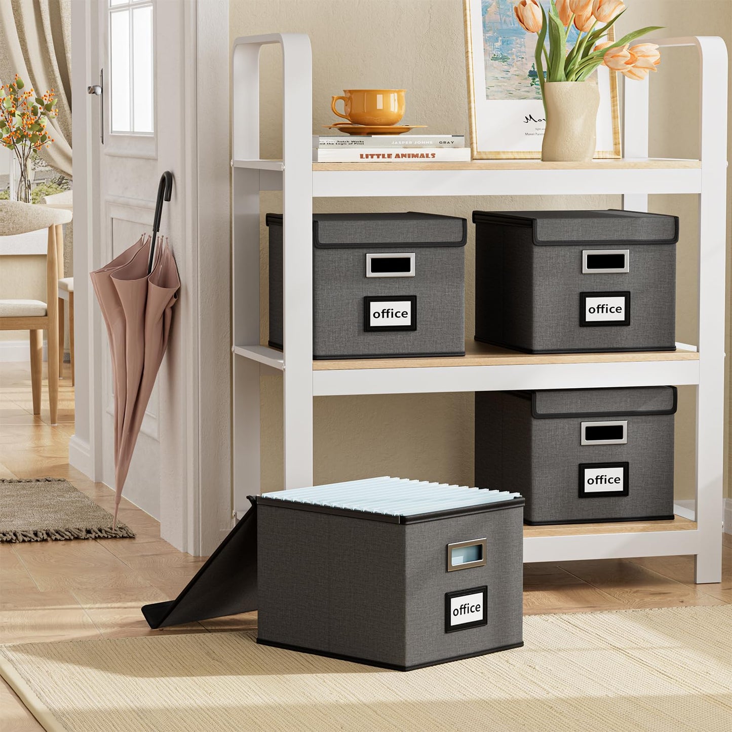Huolewa File Organizer Box with Lids, Collapsible File Folder Organizer