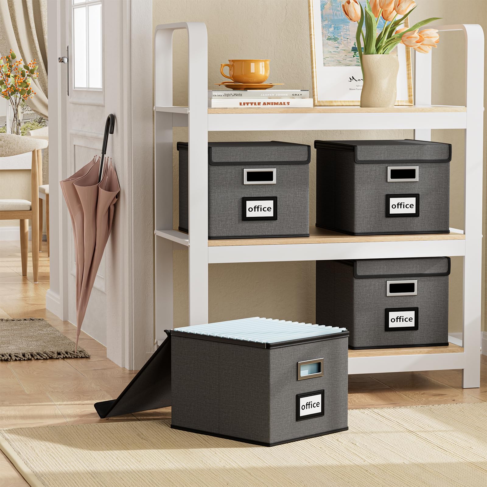 Huolewa File Organizer Box with Lids, Collapsible File Folder Organizer