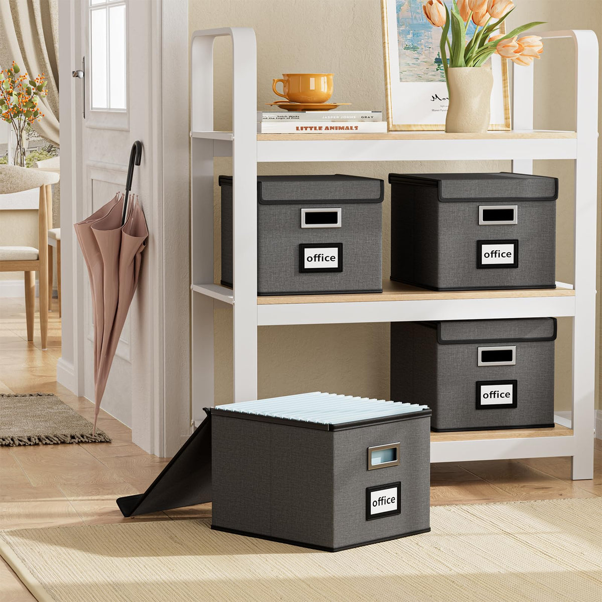 Huolewa File Organizer Box with Lids, Collapsible File Folder Organizer