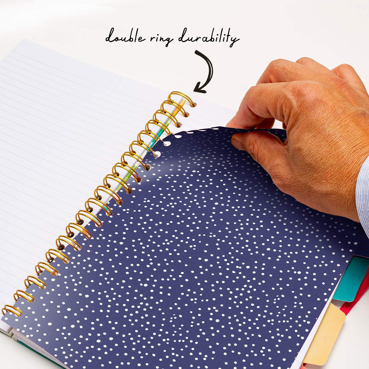 Pukka Pad, Carpe Diem 5-Subject Double Spiral Bound Notebook 3-Pack with Repositionable Dividers