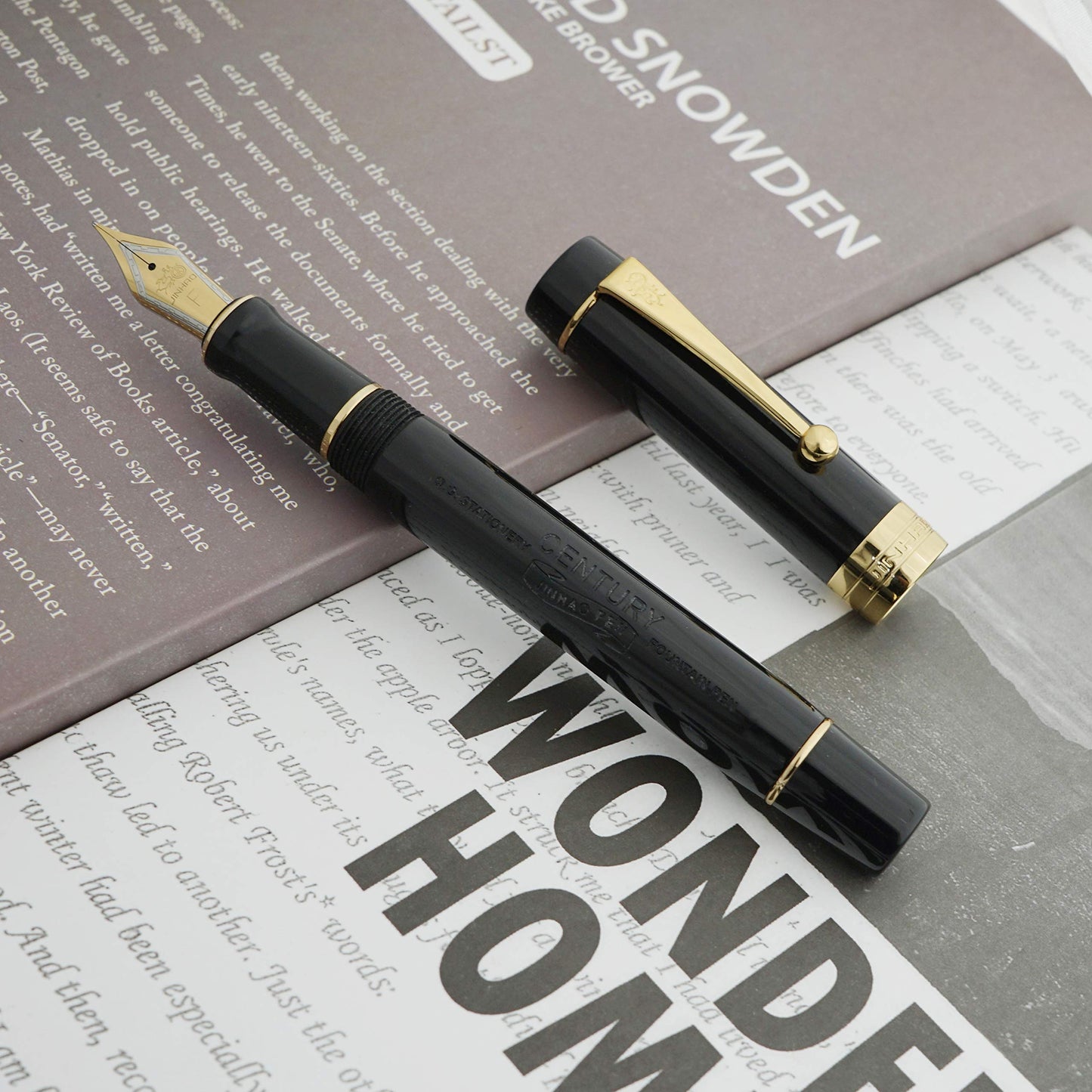 Classic Fountain Pen Vivid Black Celluloid with Jinhao Stamp, Medium Nib with Conveter and Pen Case