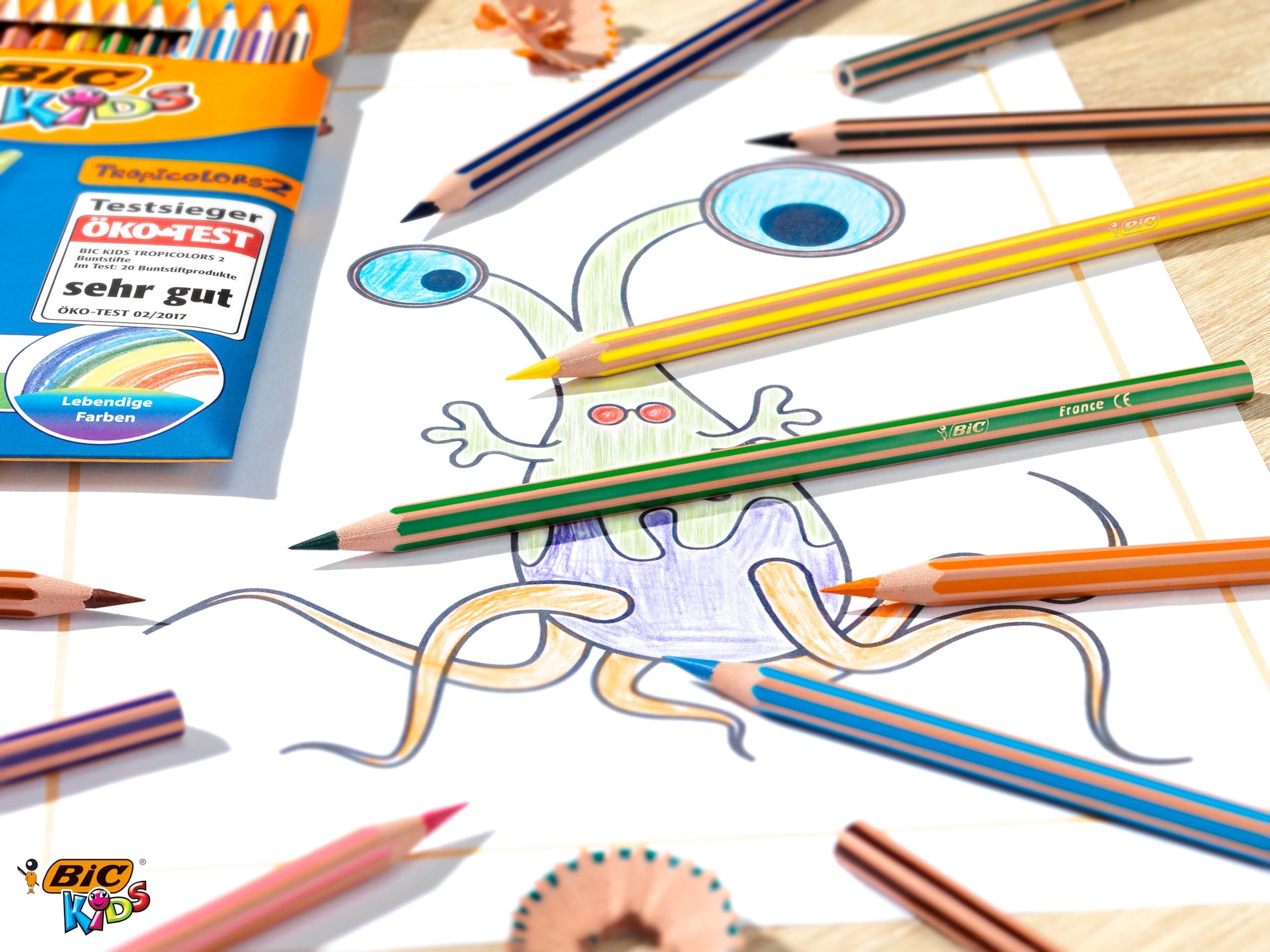 BIC Kids Evolution Stripes Colouring Pencils - Assorted Colours, Pack of 12