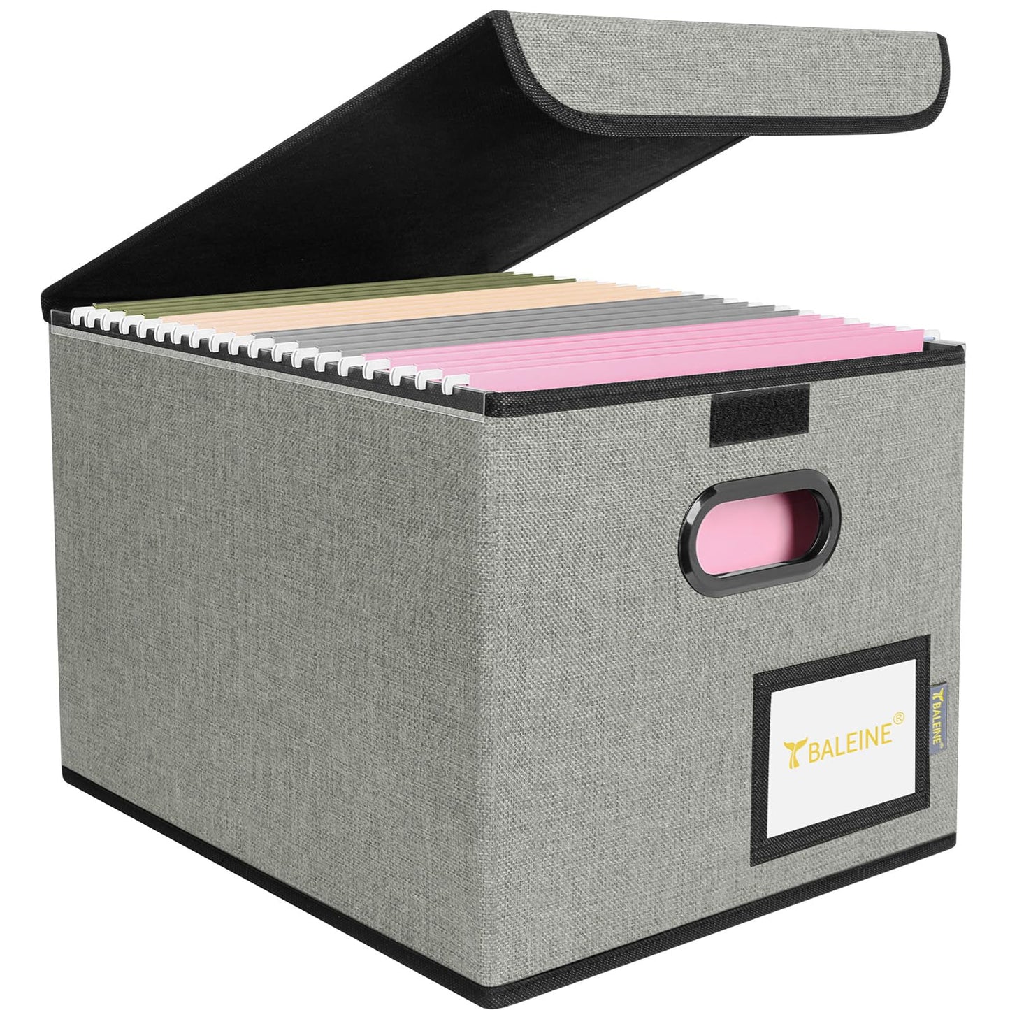 BALEINE File Organizer Box with Lid, Collapsible Hanging File Storage Box
