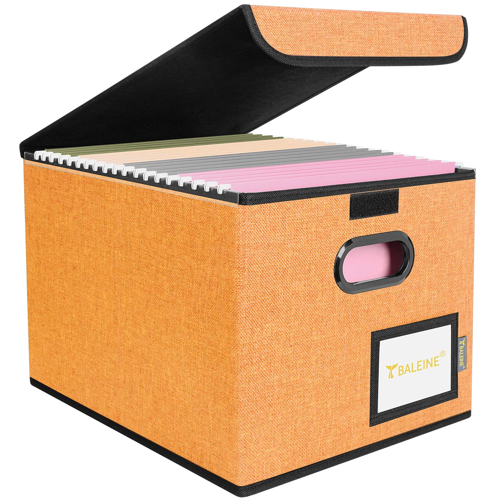 BALEINE File Organizer Box with Lid, Collapsible Hanging File Storage Box