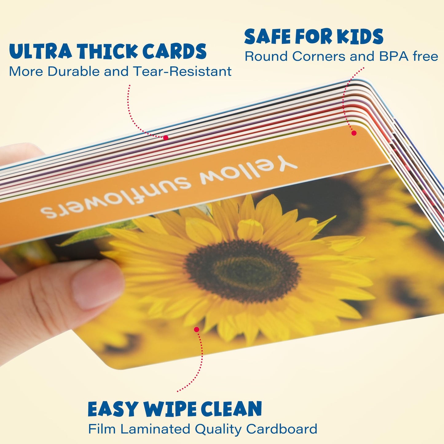 BenBen Flash Cards for Toddlers, Extra Thick, 250 Images, Double-Sided Educational Flashcards