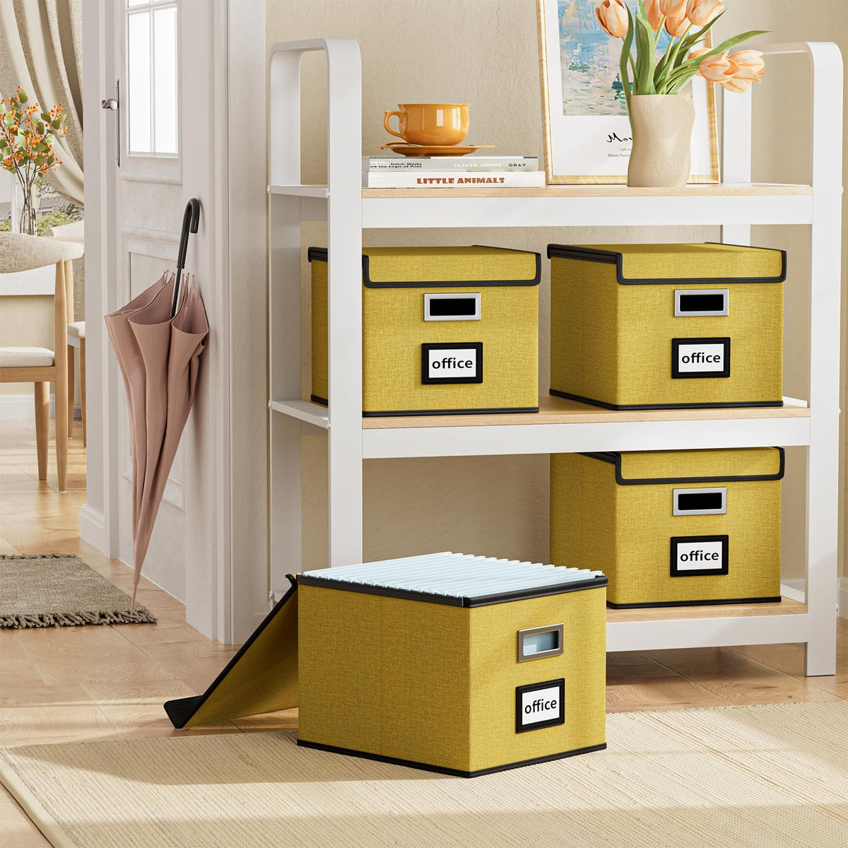 Huolewa File Organizer Box with Lids, Collapsible File Folder Organizer