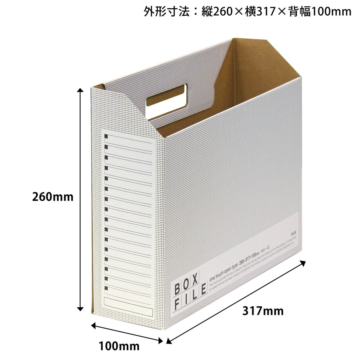 Plus Economy File Box, 10 Books, A4 Horizontal Width, 3.9 inches (100 mm), Dark Gray 553-989