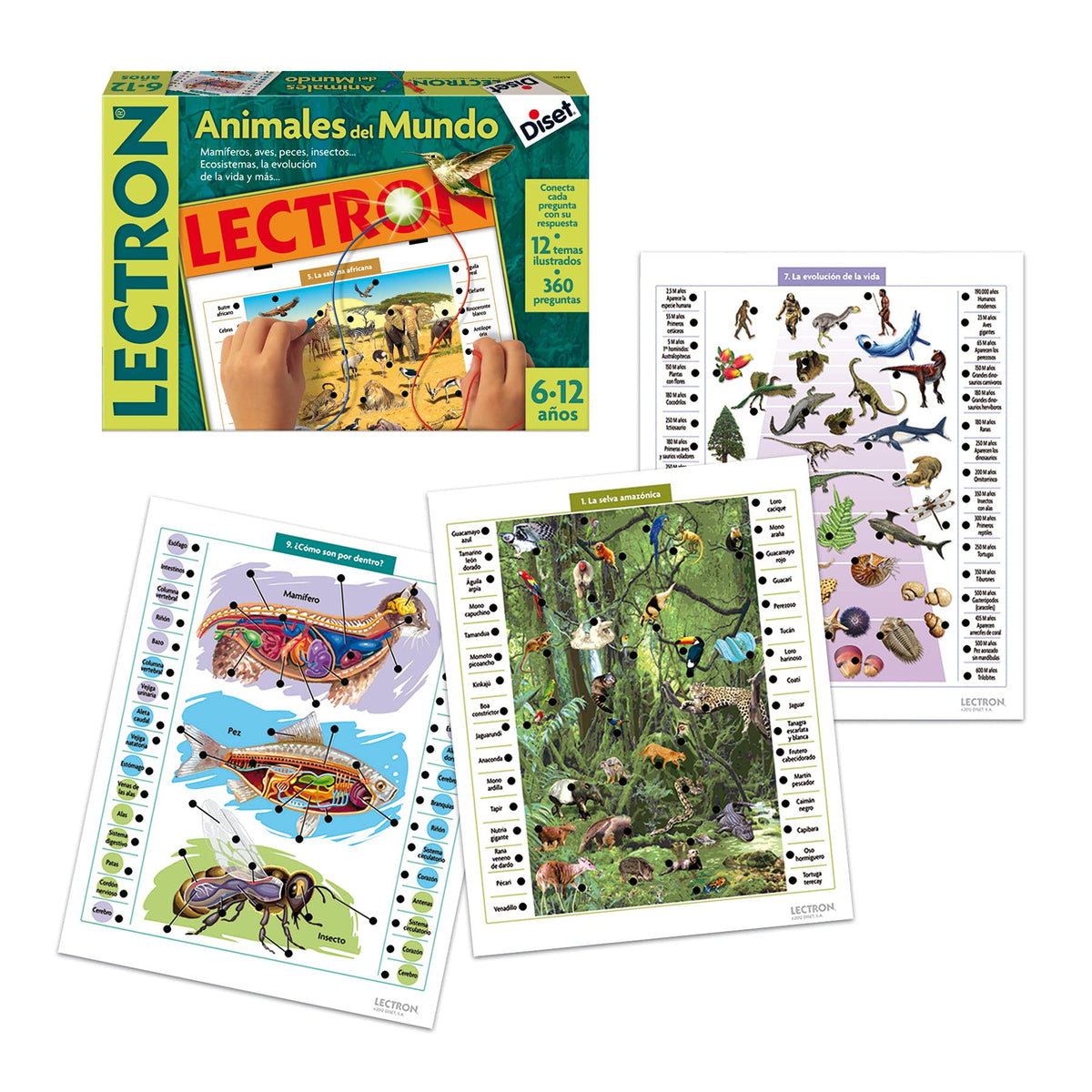 Diset Lectron: Animals of The World (63810) - Age 7+