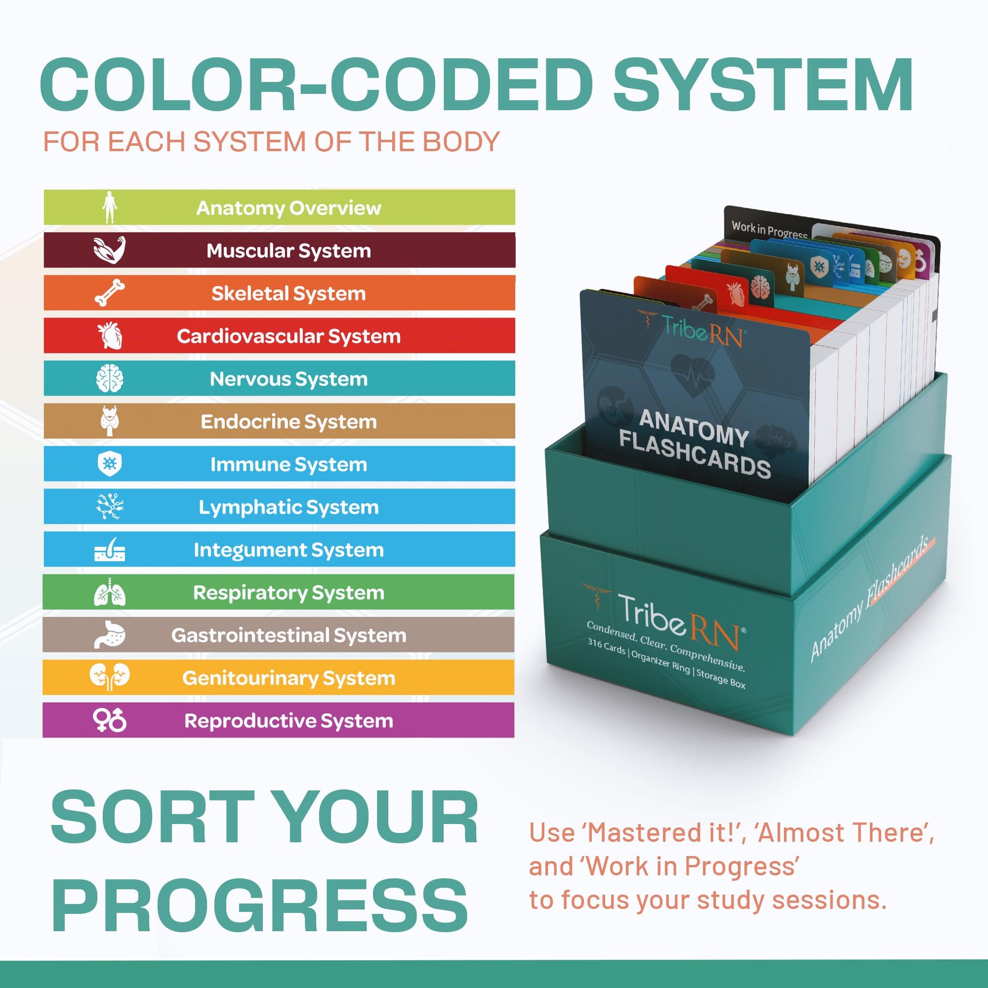 TribeRN Anatomy and Physiology Flash Cards – 320 Study Resources for Students – Human Anatomy &