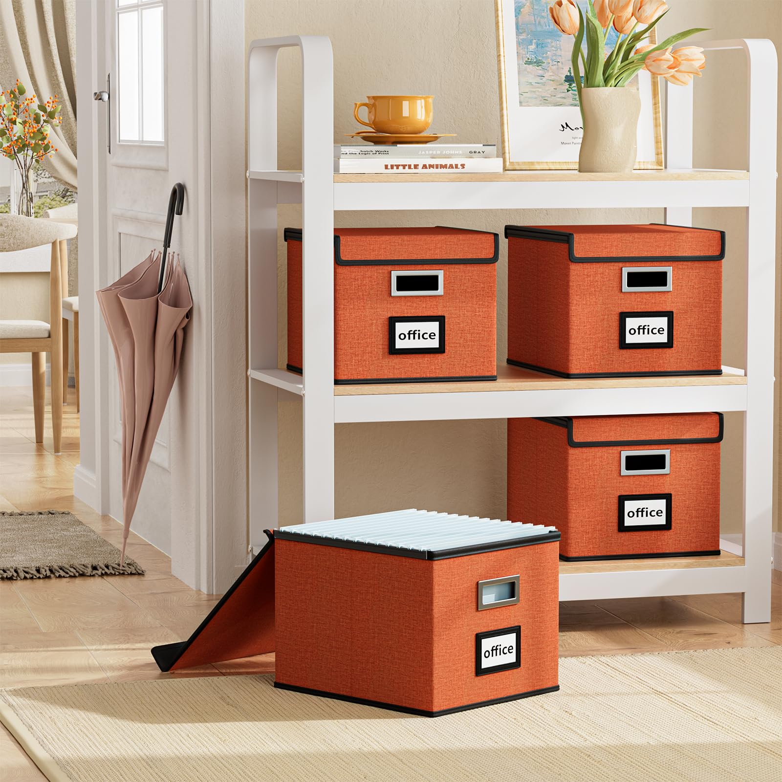 Huolewa File Organizer Box with Lids, Collapsible File Folder Organizer