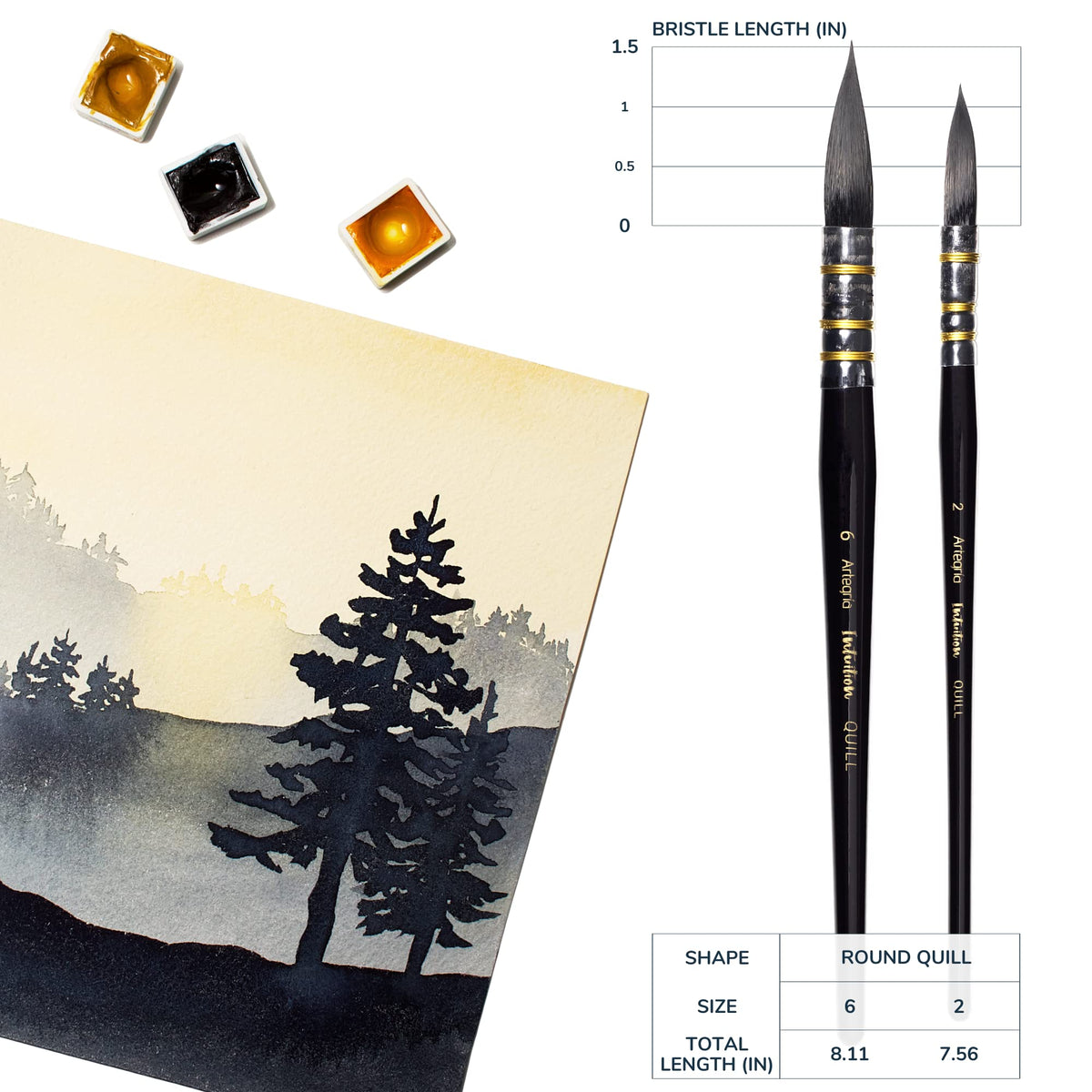 ARTEGRIA Watercolor Brush Set, 2 Round Quill Mop Brushes, Sizes 2, 6
