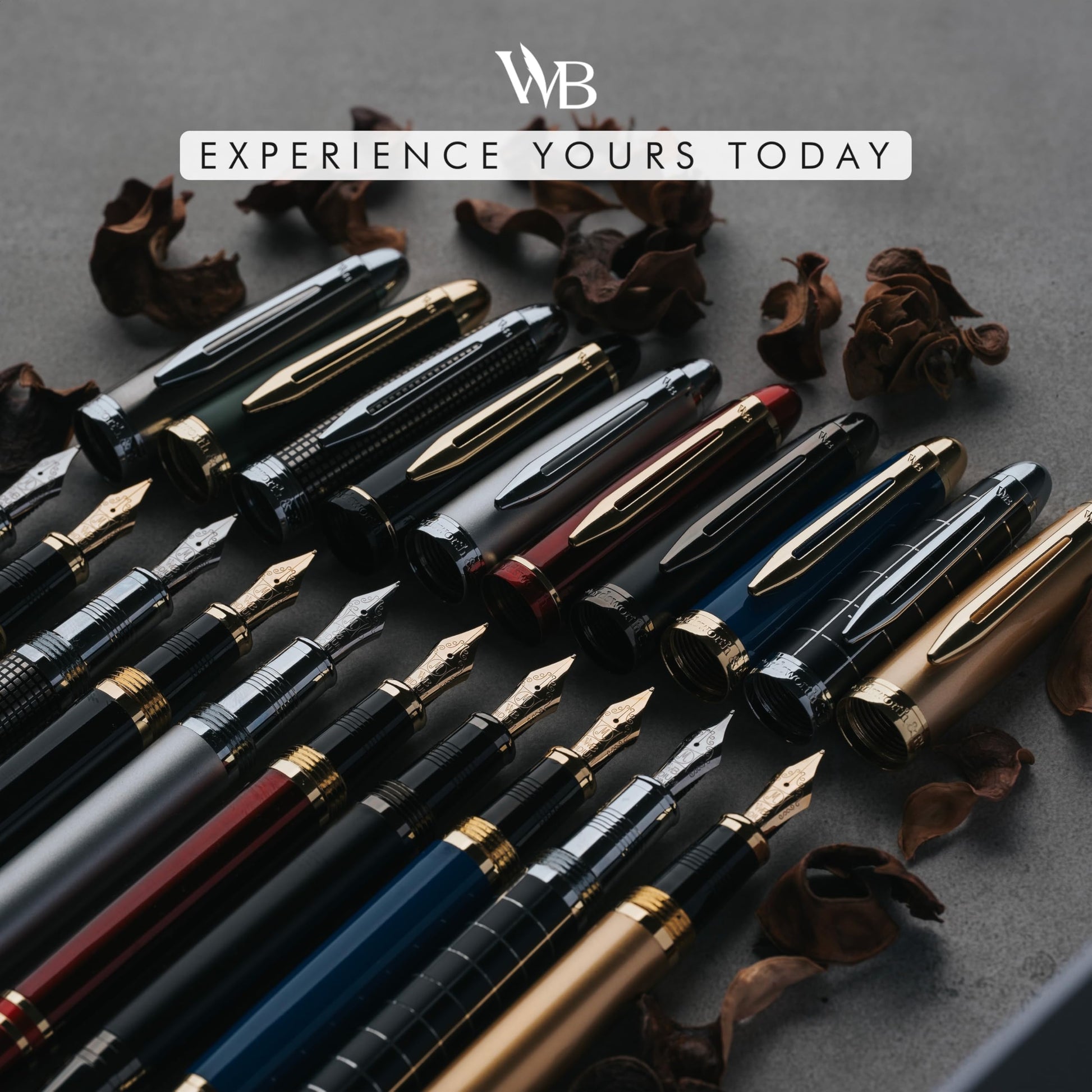 Wordsworth & Black Majesti Fountain Pen Set for Writing, Fine Nib