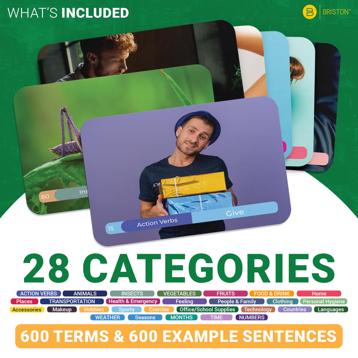 Spanish Vocabulary Flash Cards – 600 Words, Sentences & Pronunciation